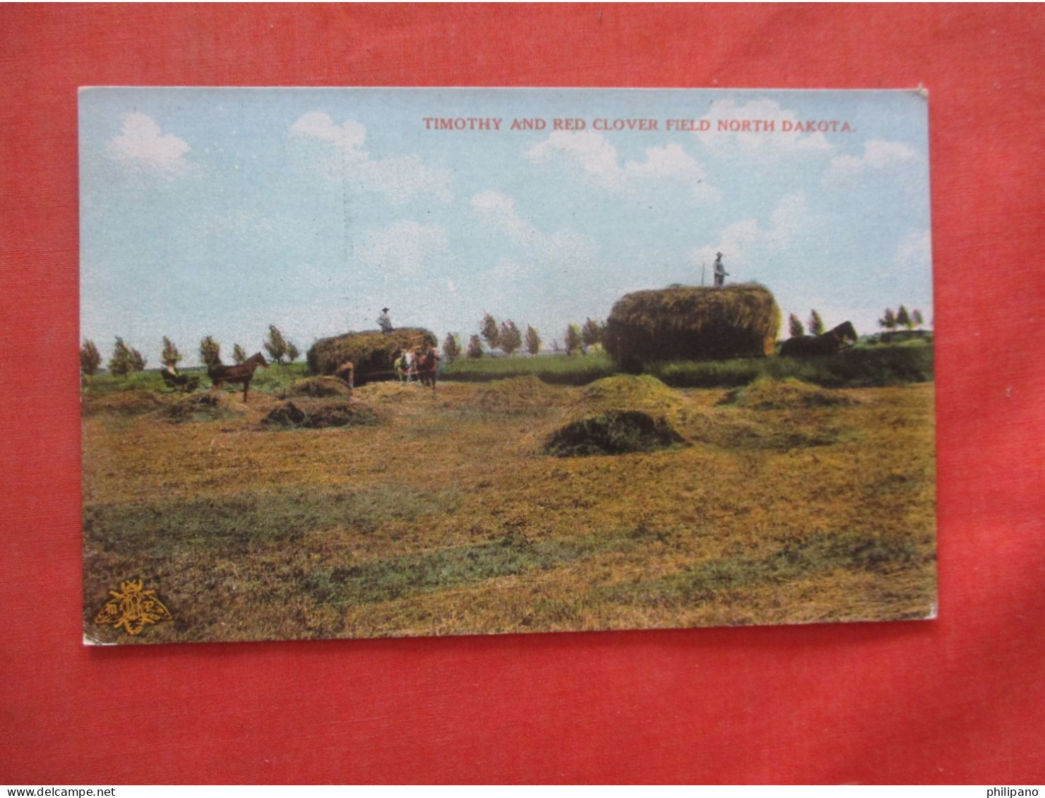 Timothy & Red Clover Field.   North Dakota >   Ref 6044 - Autres & Non Classés