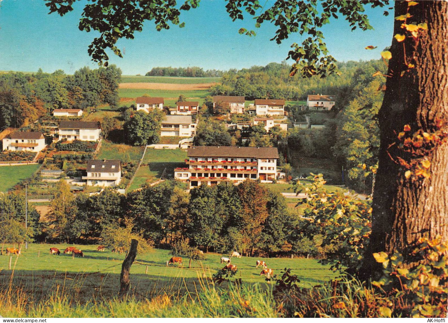 Höchst (Odenwald) - Waldhotel Forellenhof Gelaufen 1991 (1343) - Höchst