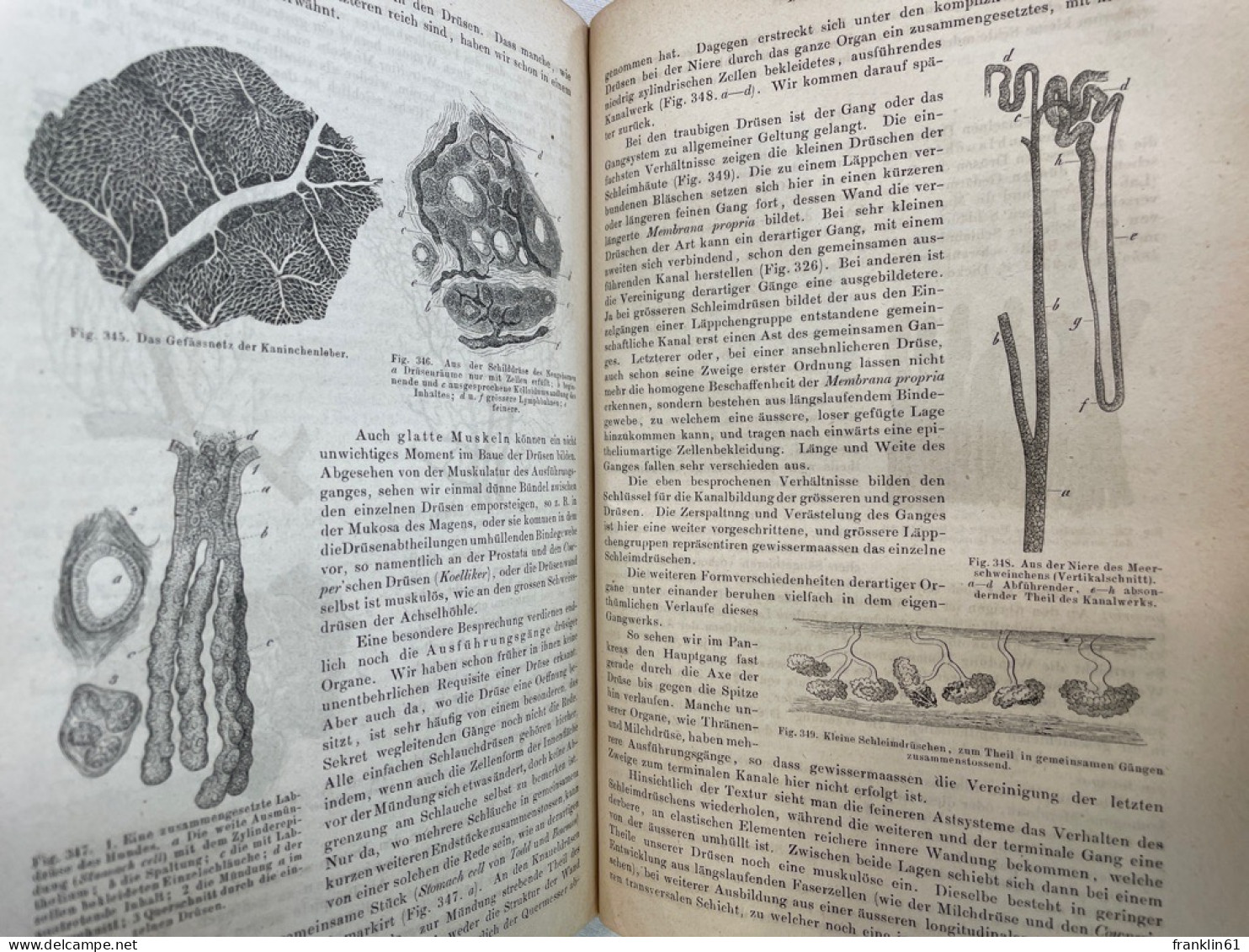 Handbuch der Histologie und Histochemie des Menschen.