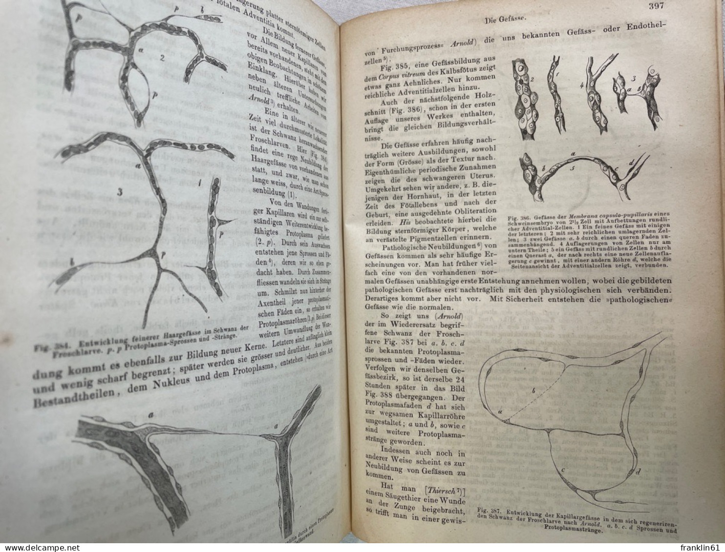 Handbuch der Histologie und Histochemie des Menschen.