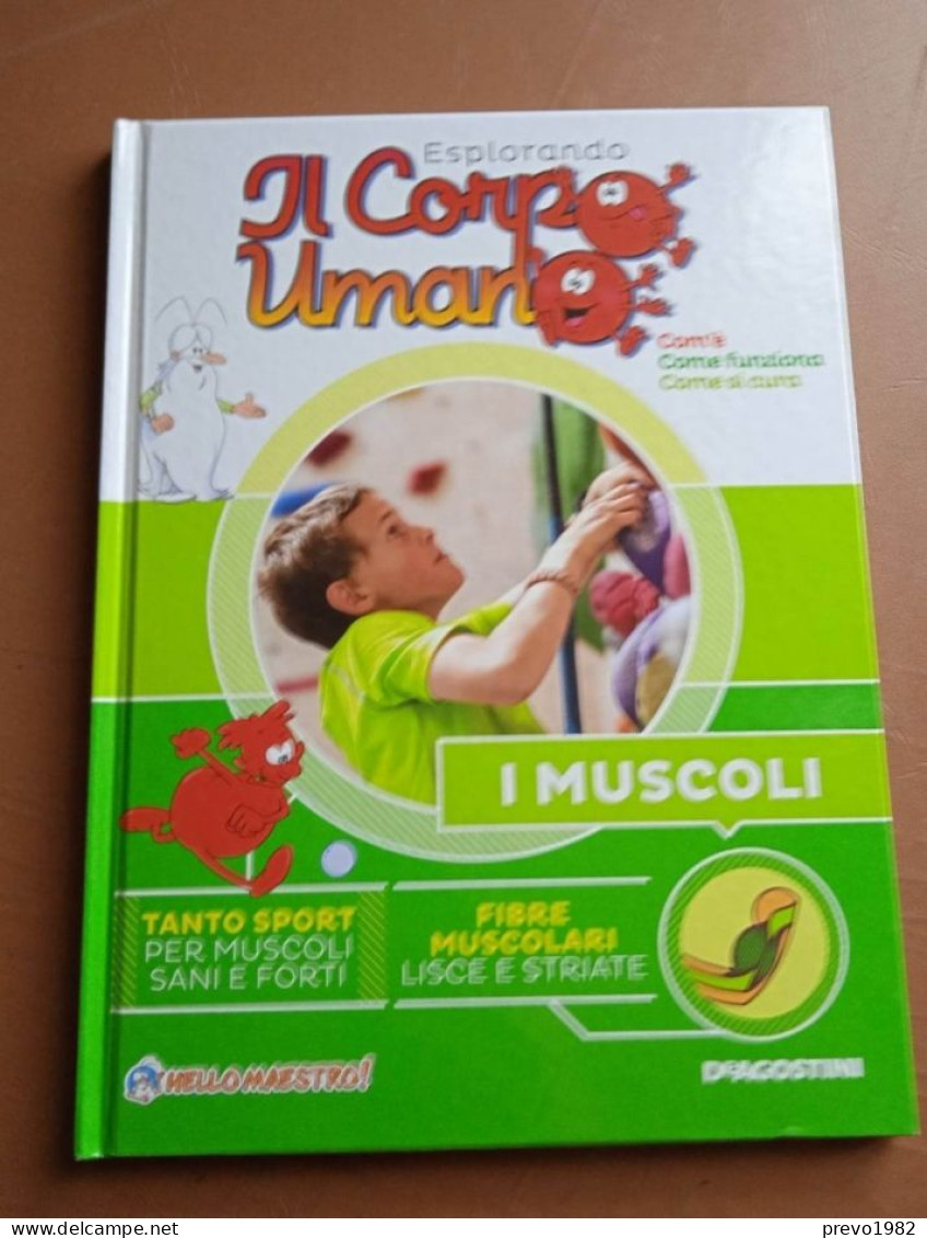 Esplorando Il Corpo Umano, I Muscoli - Ed. DeAgostini - Bambini