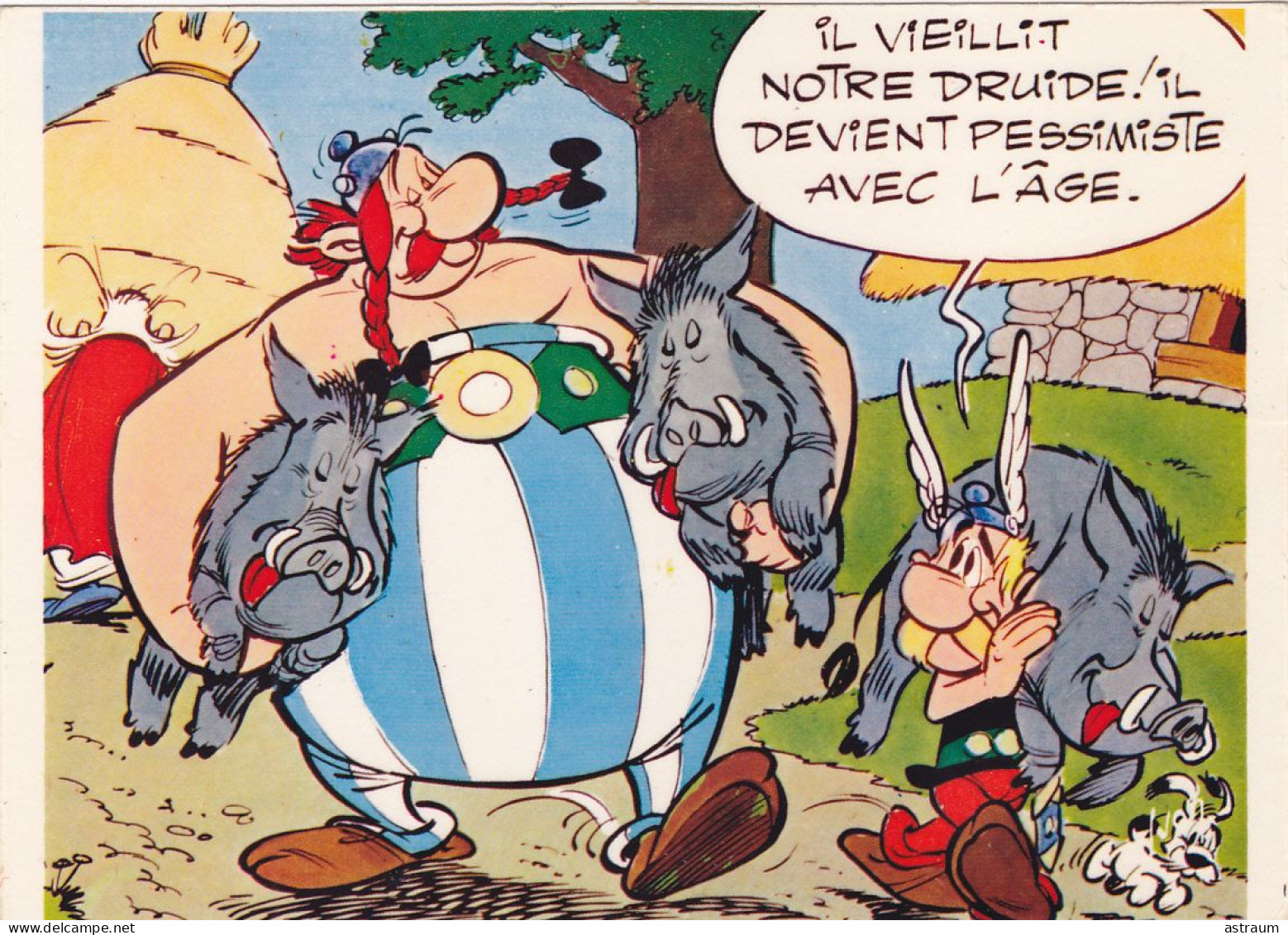 Cpa- B.D.- Asterix & Obelix -- - Bandes Dessinées