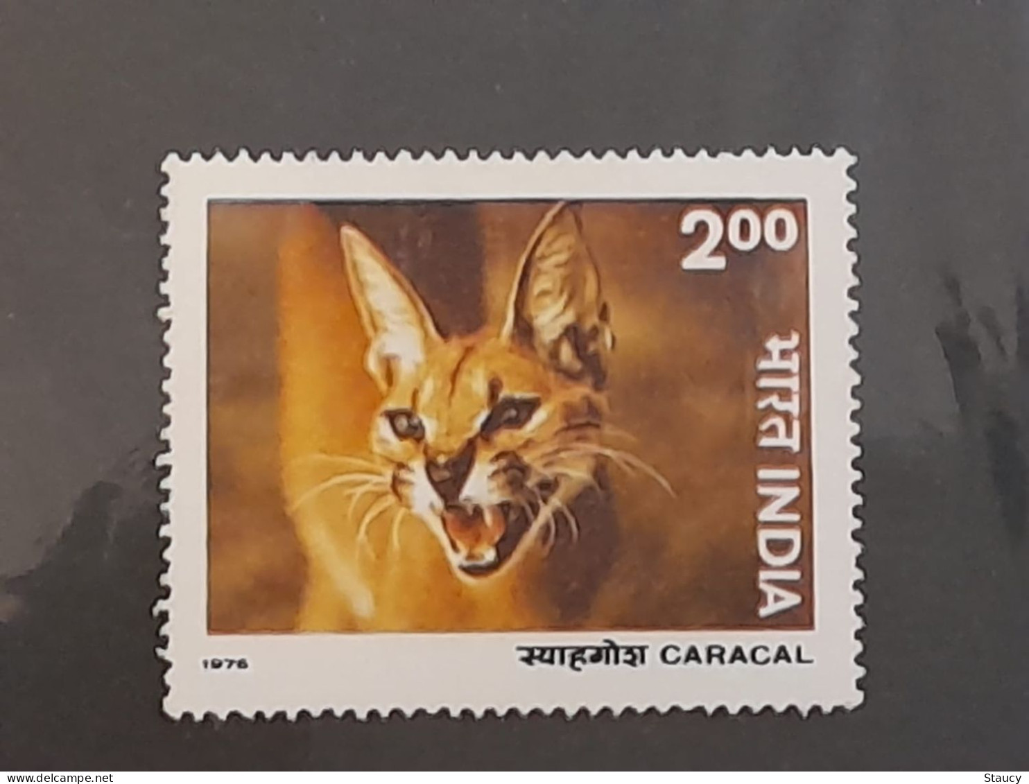 India 1976 ~ Wildlife Preservation - Fauna / Wild Animals 1v "CARACAL - WILD CAT" Mint Condition As Per Scan - Andere & Zonder Classificatie