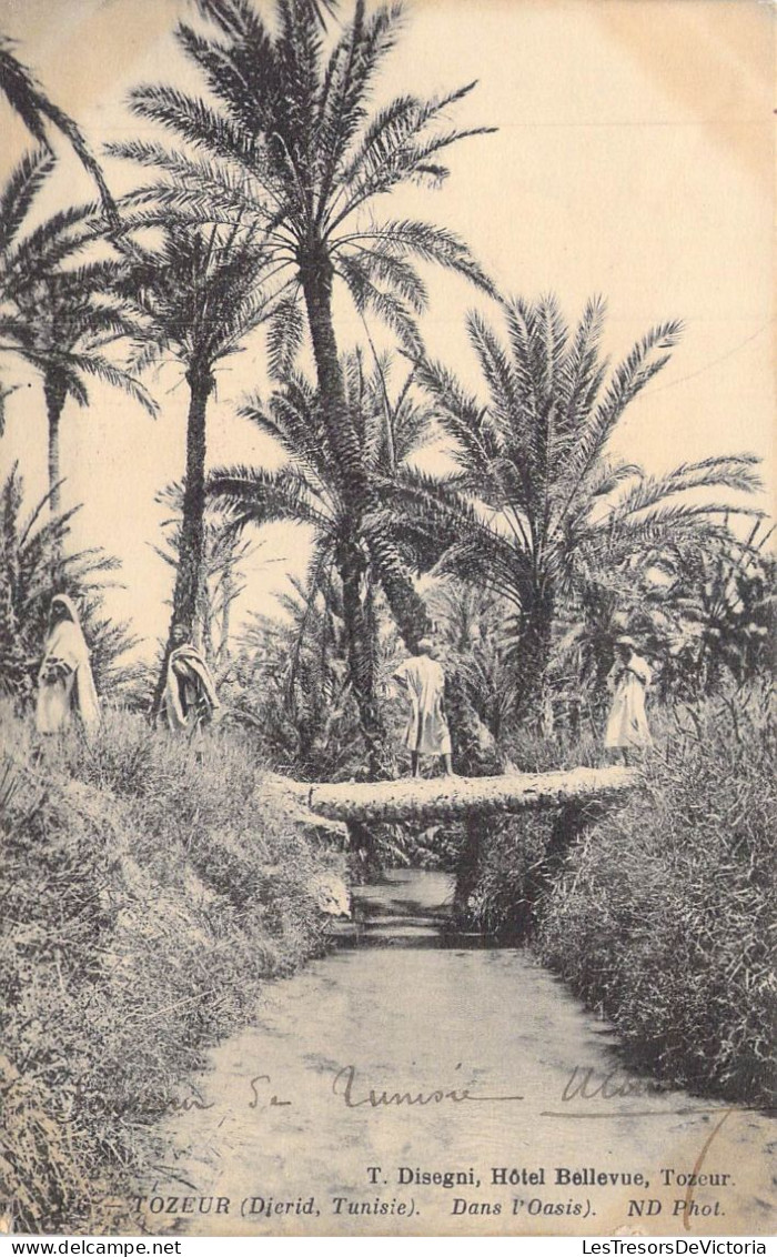 TUNISIE - Tozeur - Dans L'Oasis - Carte Postale Ancienne - Tunisie