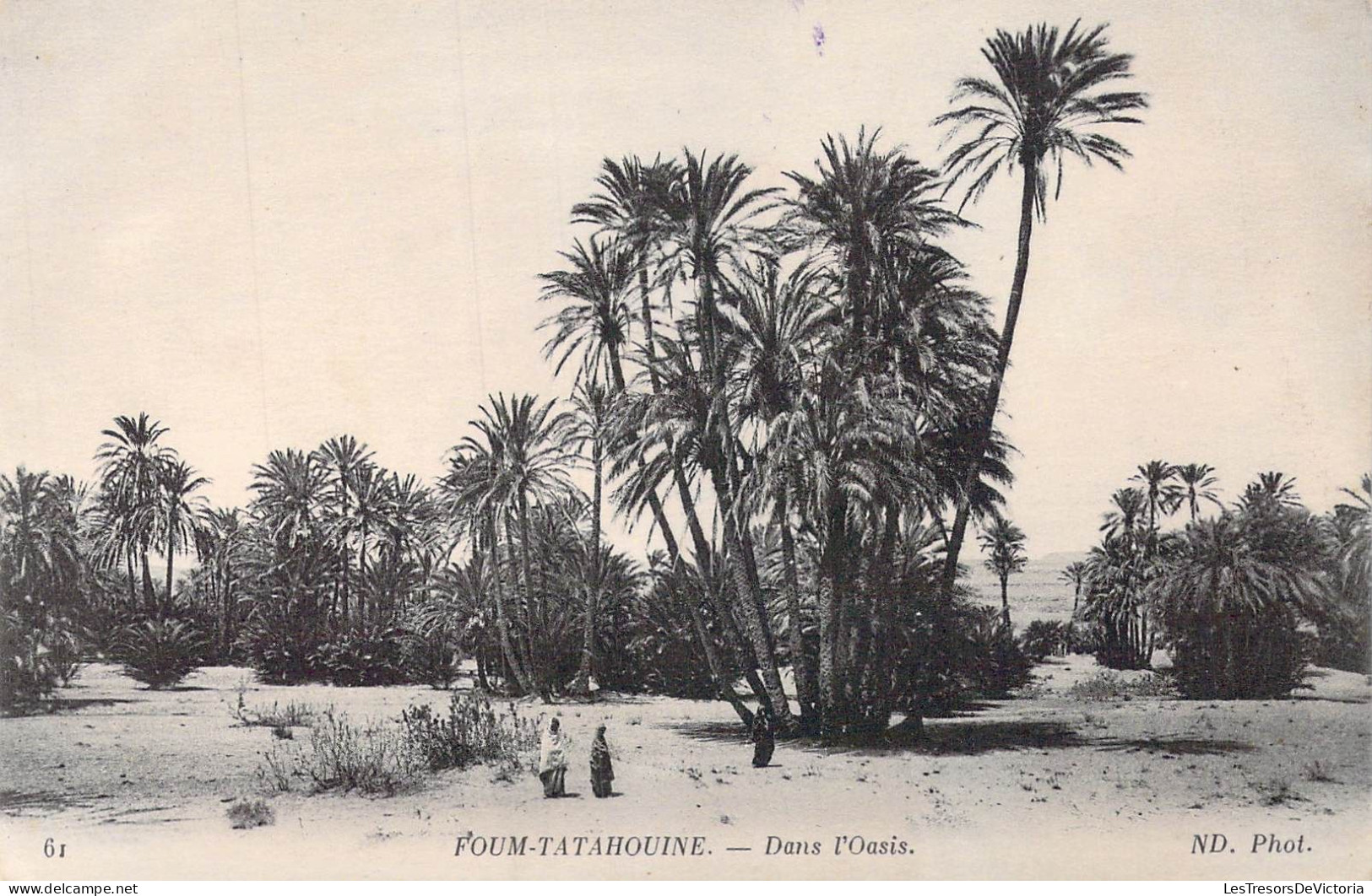 TUNISIE - Foum-Tatahouine - Dans L'Oasis - Carte Postale Ancienne - Tunisie