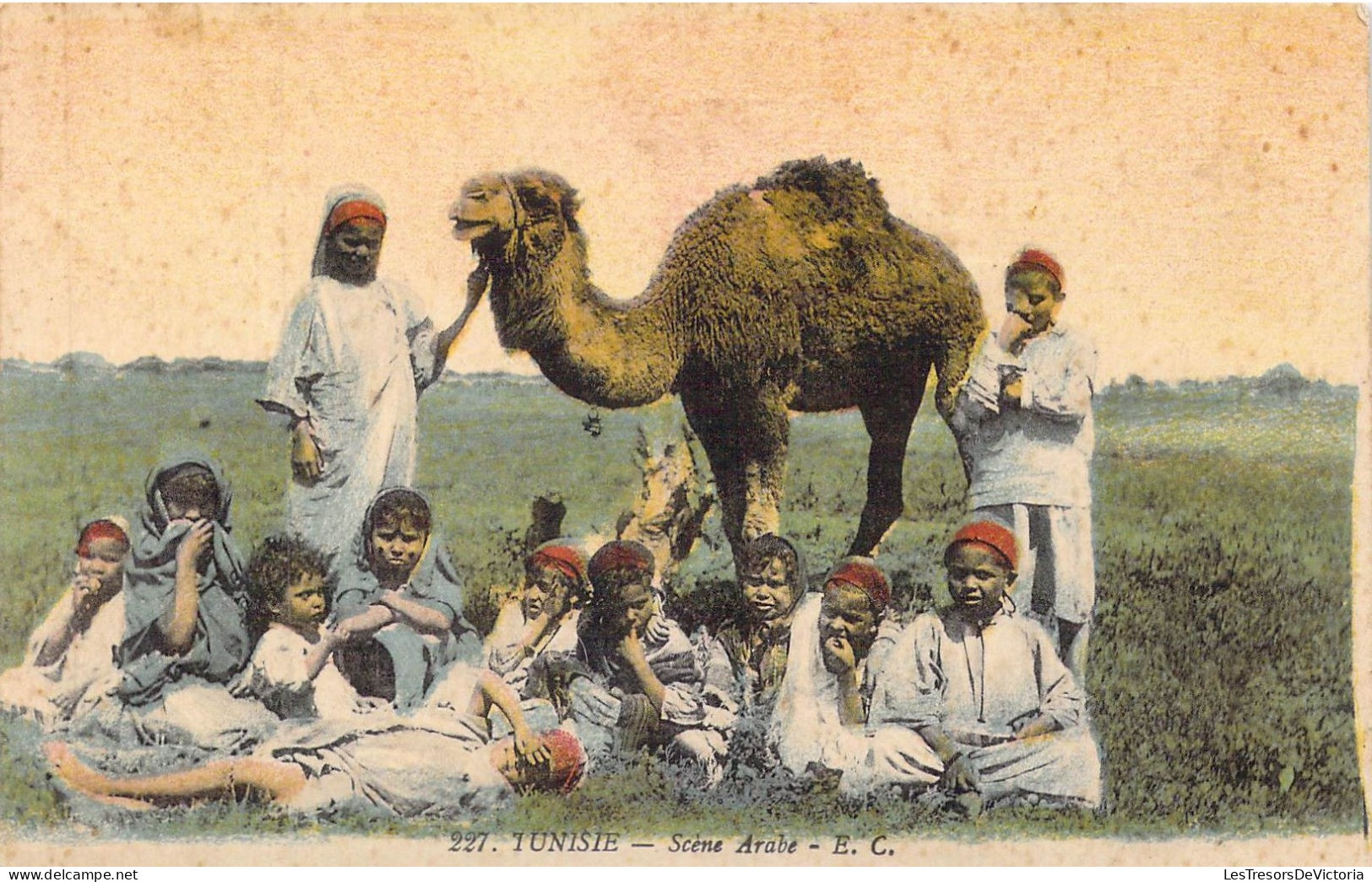 TUNISIE - Scène Arabe - Carte Postale Ancienne - Túnez