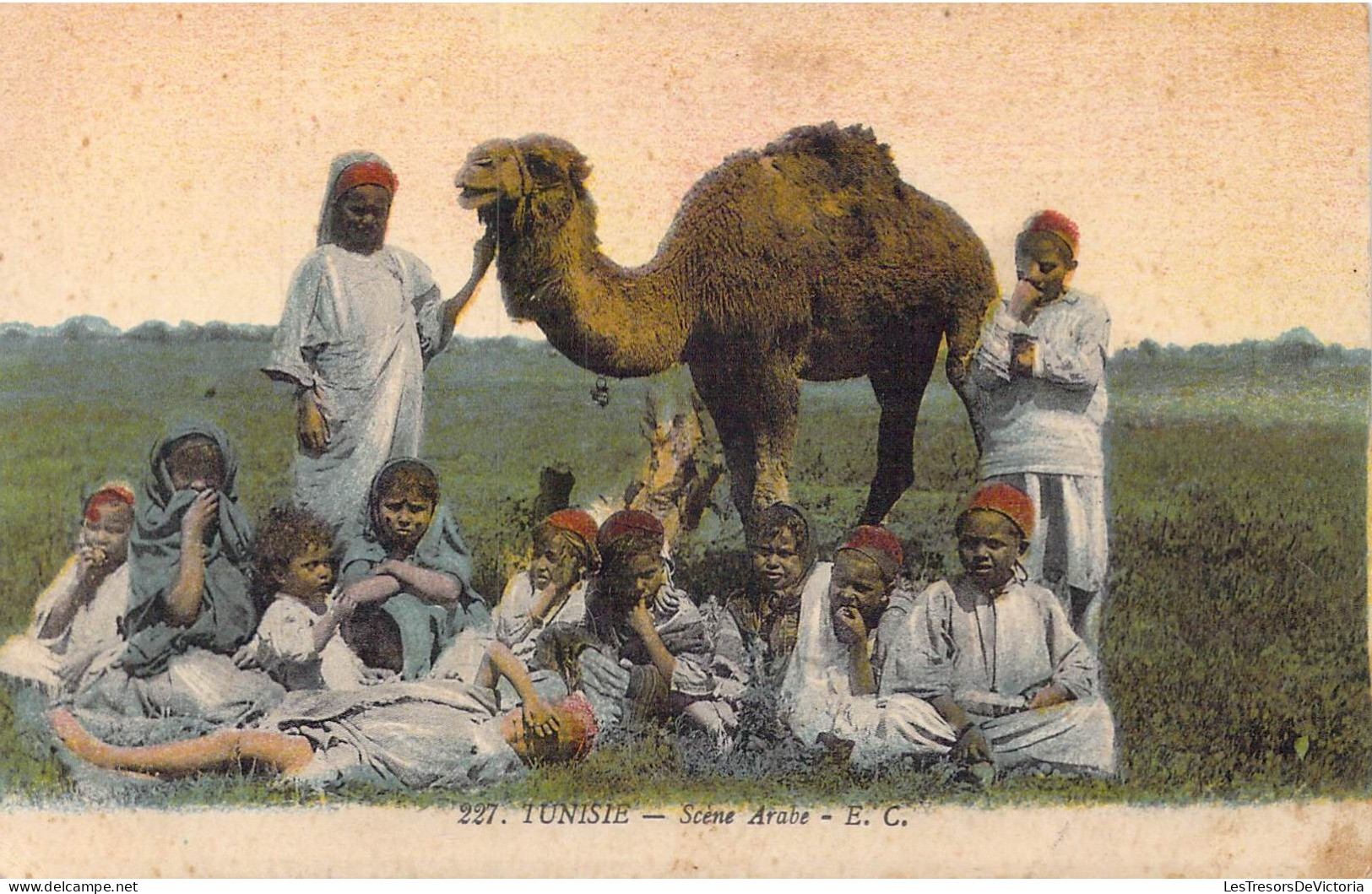 TUNISIE - Scène Arabe - Carte Postale Ancienne - Zonder Classificatie