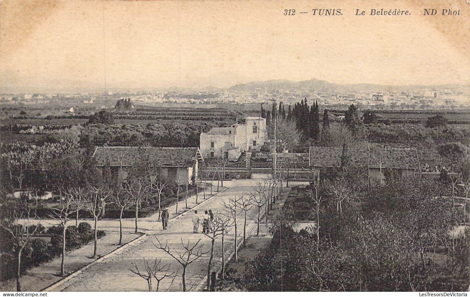 TUNISIE - Tunis - Le Belvédère - Carte Postale Ancienne - Tunesië