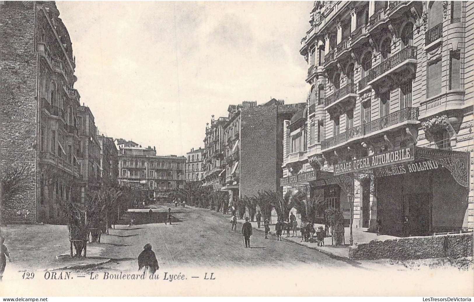 ALGERIE - Oran - Le Boulevard Du Lycée - Carte Postale Ancienne - Oran