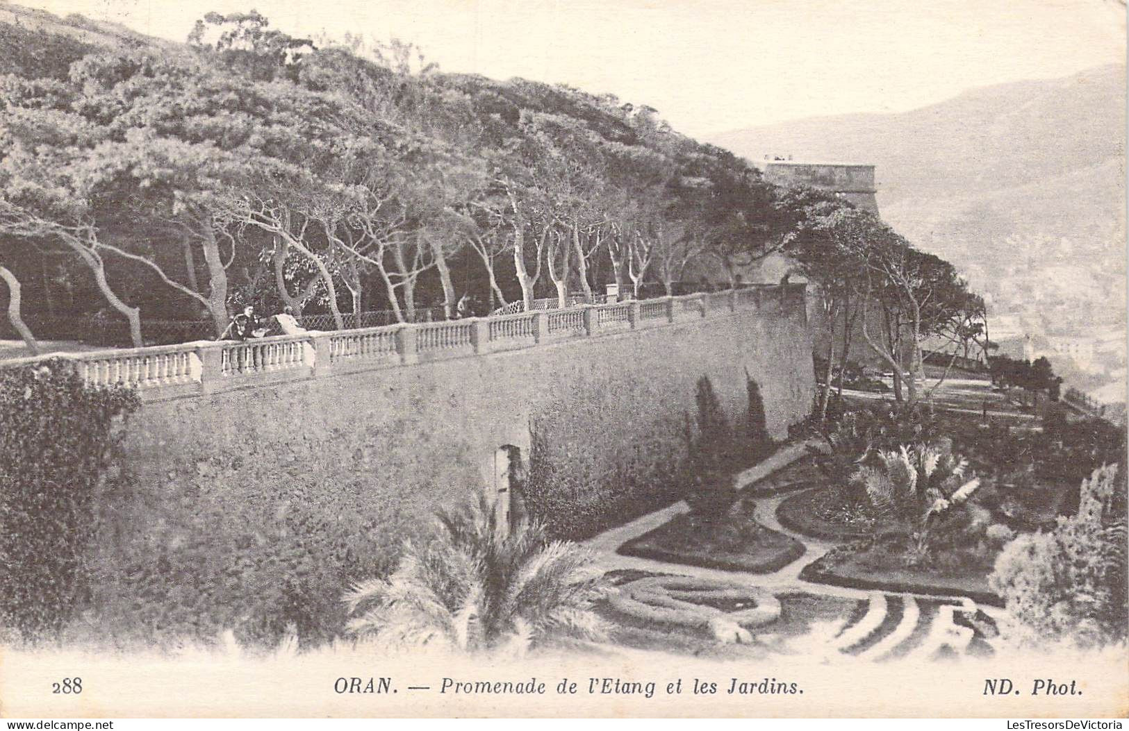 ALGERIE - Oran -  Promenade De L'Etang Et Les Jardins - Carte Postale Ancienne - Oran