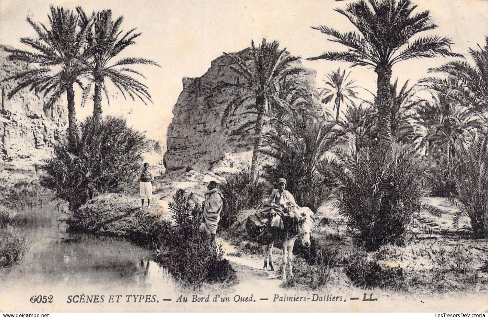 ALGERIE - Scènes Et Types - Au Bord D'un Oued - Palmiers Dattiers - Carte Postale Ancienne - Szenen