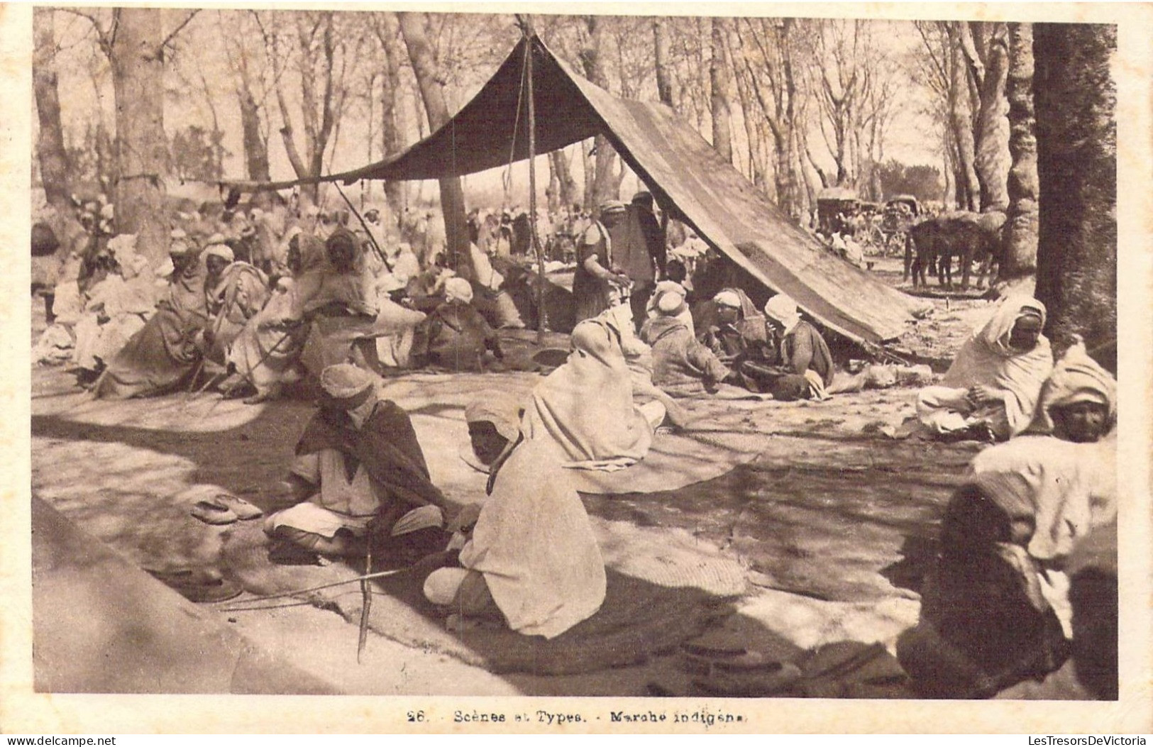 ALGERIE - Scènes Et Types - Marché Indigène - Carte Postale Ancienne - Scenes