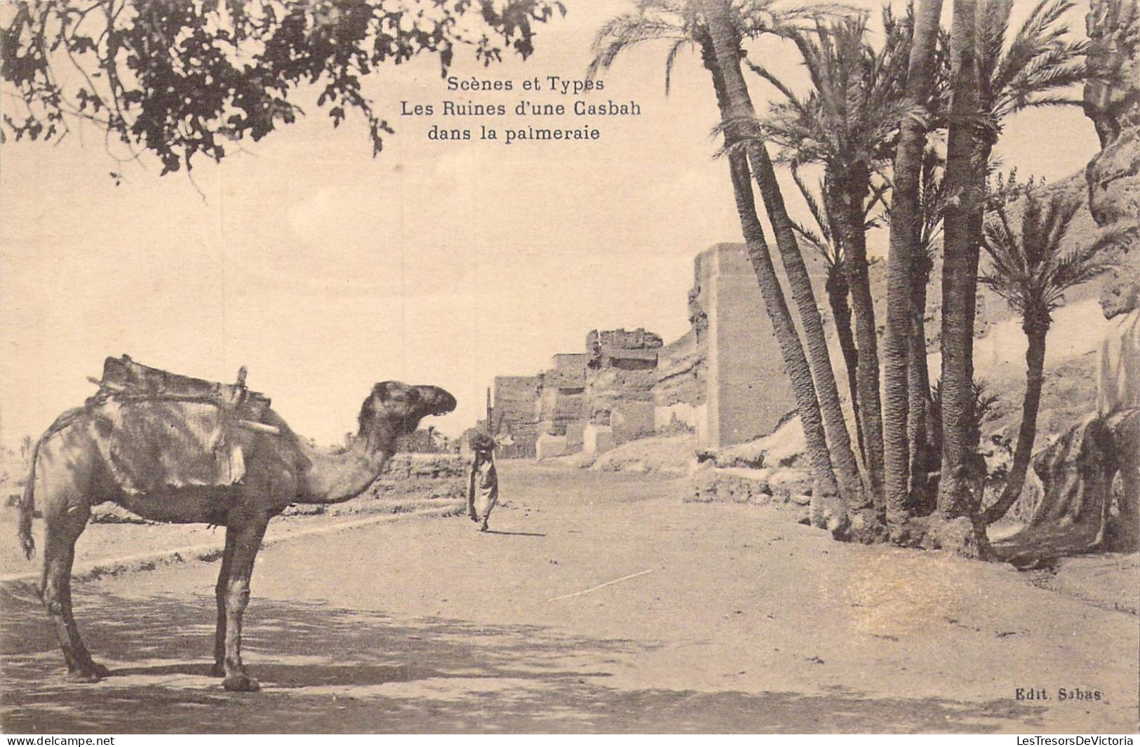 ALGERIE - Scènes Et Types - Les Ruines D'une Casbah Dans La Palmeraie - Carte Postale Ancienne - Scenes