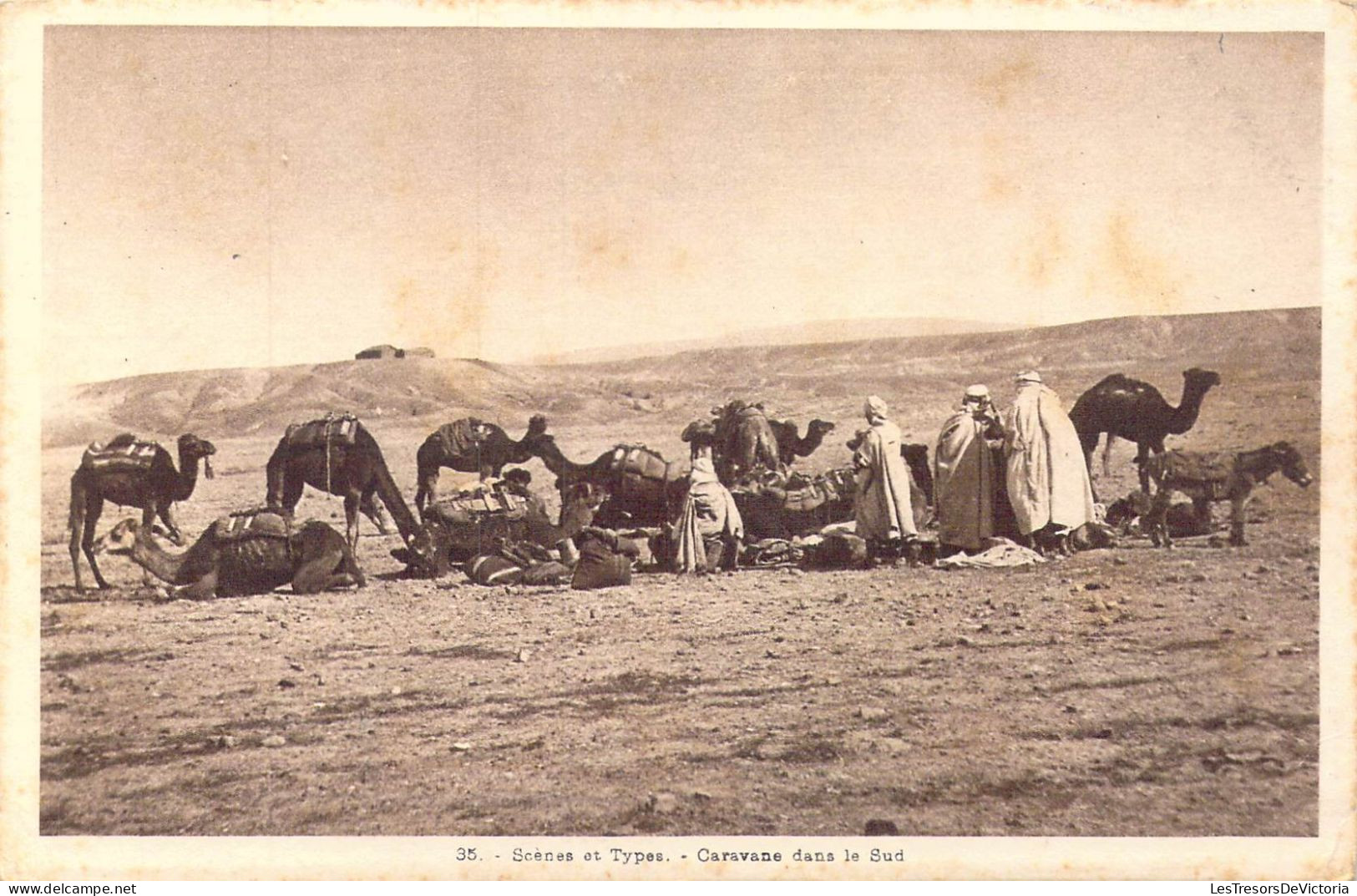 ALGERIE - Scènes Et Types - Caravane Dans Le Sud - Carte Postale Ancienne - Scenes