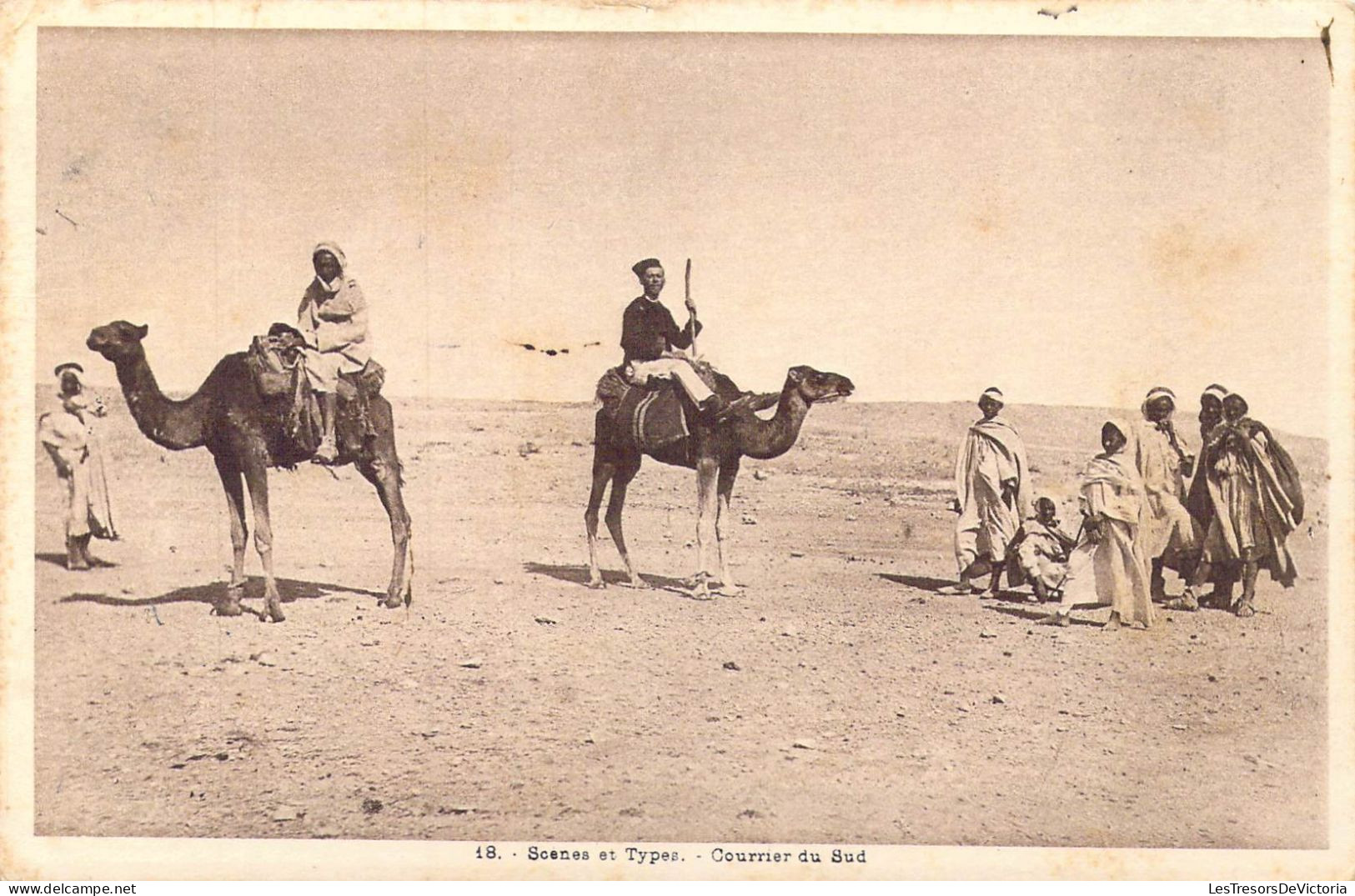 ALGERIE - Scènes Et Types - Courrier Du Sud - Carte Postale Ancienne - Scenes