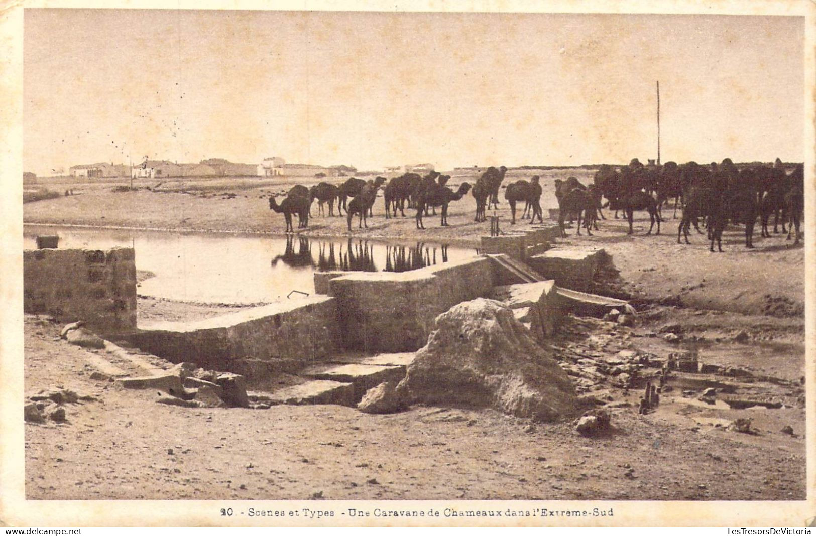 ALGERIE - Scènes Et Types - Une Caravane De Chameaux Dans L'Extrême-Sud - Carte Postale Ancienne - Szenen