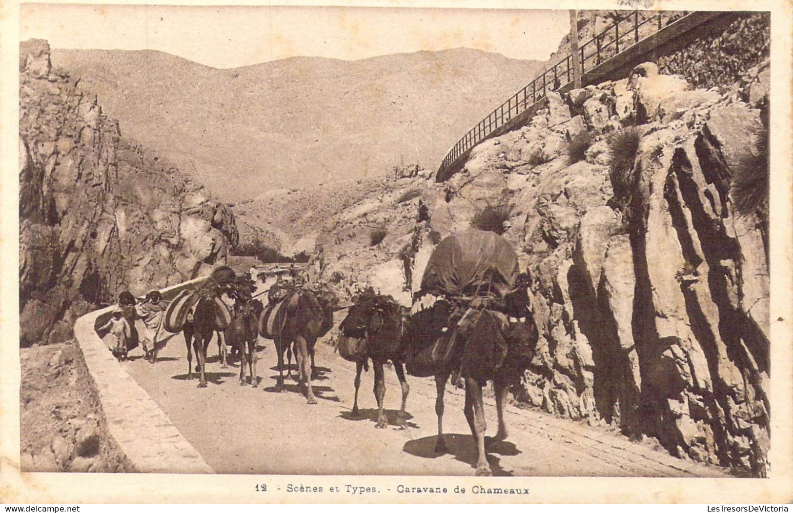 ALGERIE - Scènes Et Types - Caravane De Chameaux - Carte Postale Ancienne - Szenen