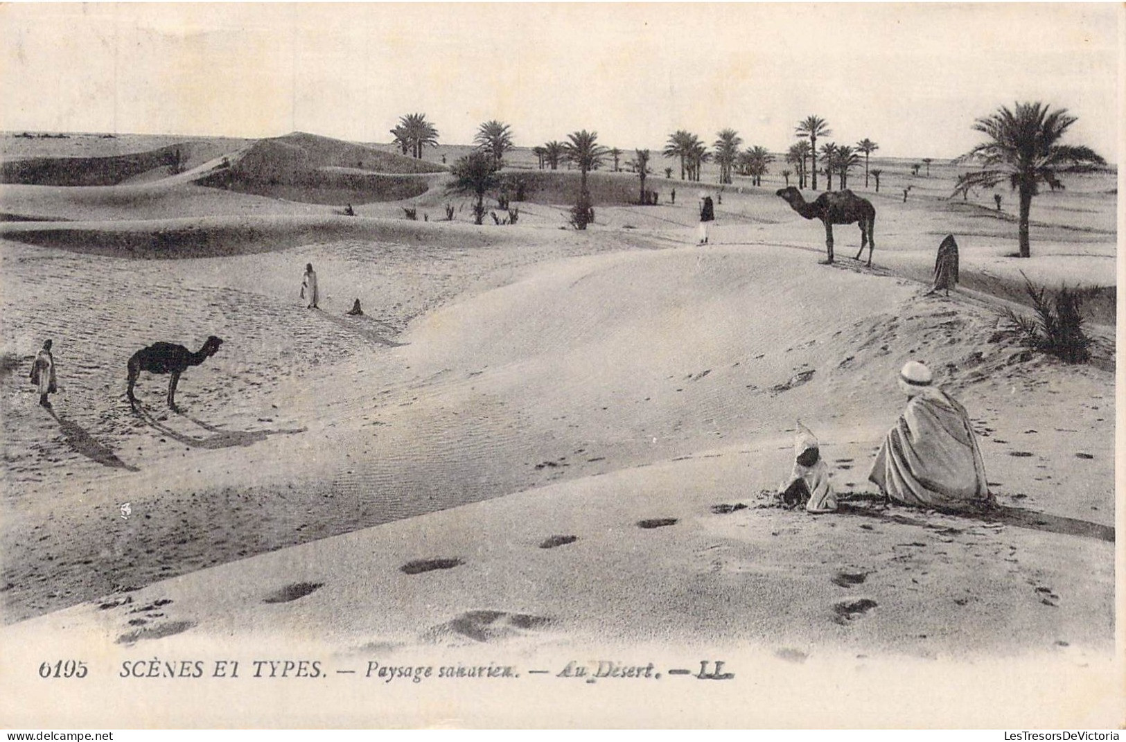 ALGERIE - Scènes Et Types - Paysage Saharien - Au Désert - Carte Postale Ancienne - Scenes