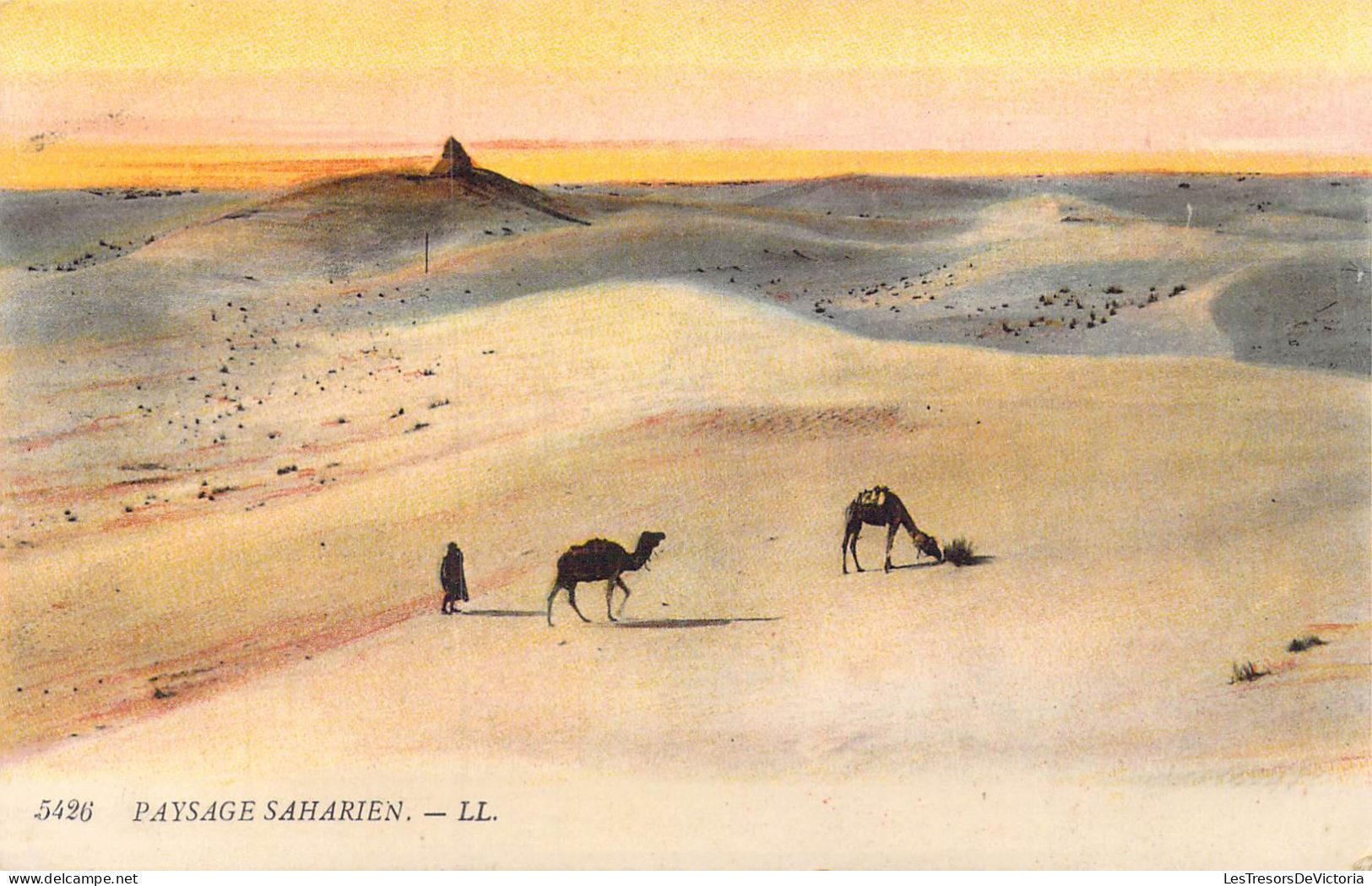 AFRIQUE - Paysage Saharien - Carte Postale Ancienne - Sin Clasificación