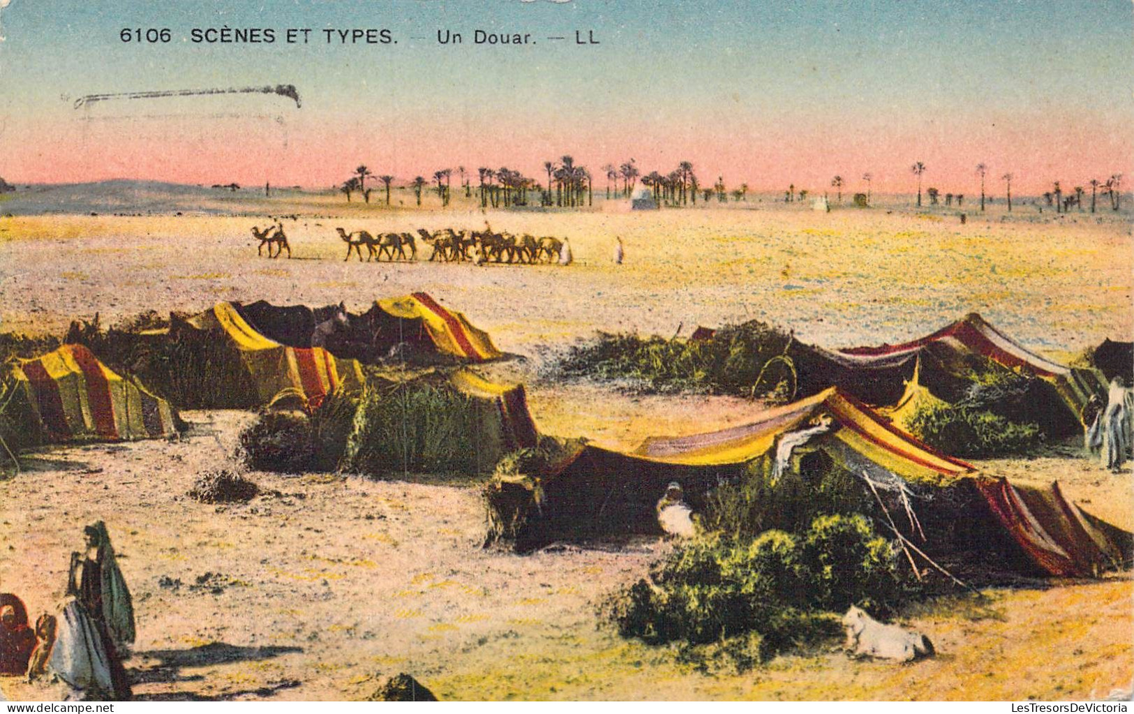 ALGERIE - Scènes Et Types - Un Douar - Carte Postale Ancienne - Scenes