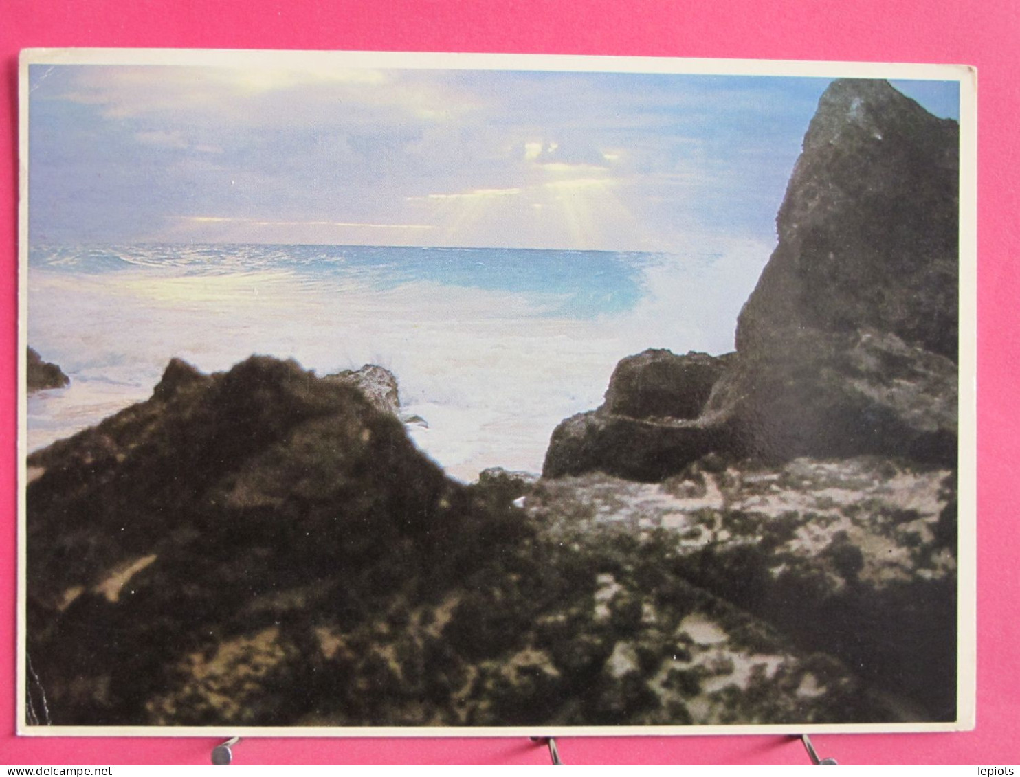 Visuel Très Peu Courant - Bermudes - Rocks And Surf - Joli Timbre - R/verso - Bermuda