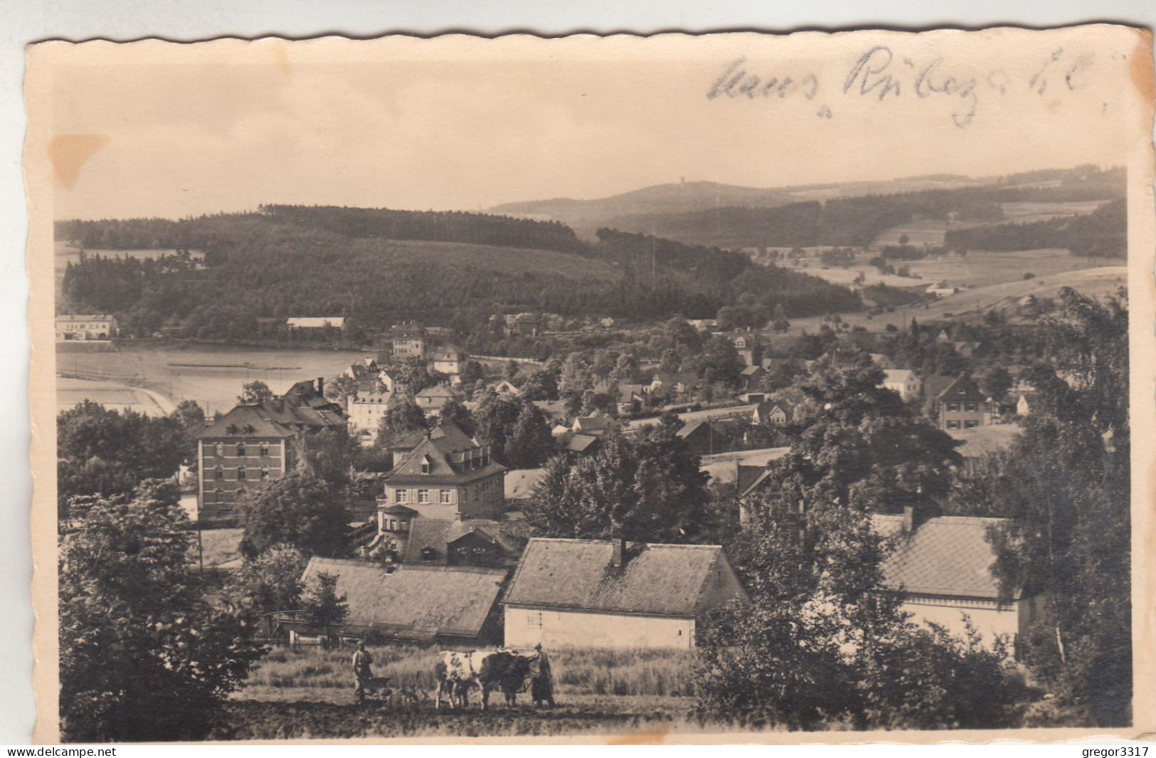 C8458) BAD BRAMBACH I. V. - Mit Dem KAPELLENBERG - Kühe Bauern - Häuser ALT - Bad Brambach