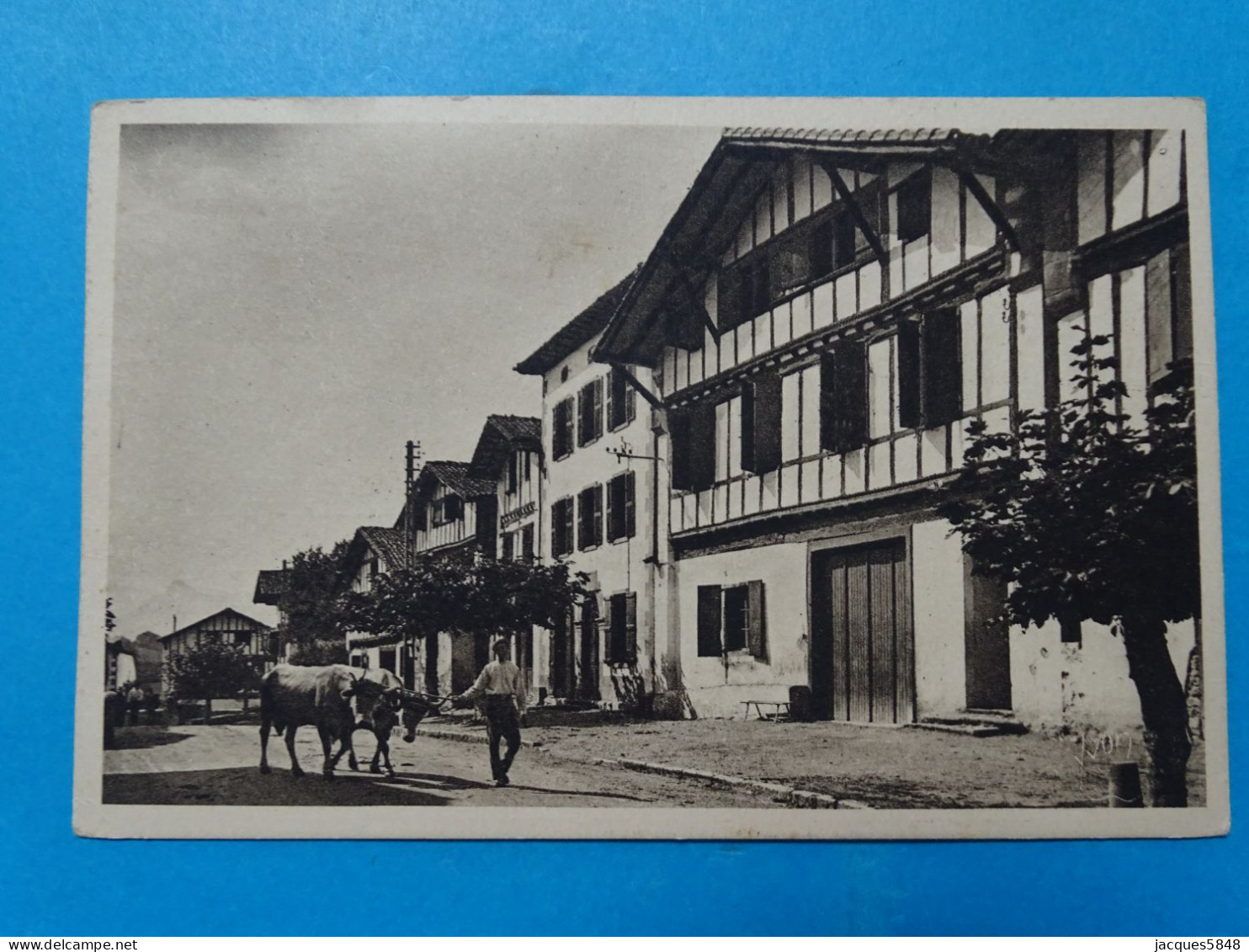 64) ( Ainhoa ) - N° 32 - ( Carte Photo ) La Grande Rue Du Village -  ANNEE 1951 - EDIT : Van Eyk-rouleau - Ainhoa