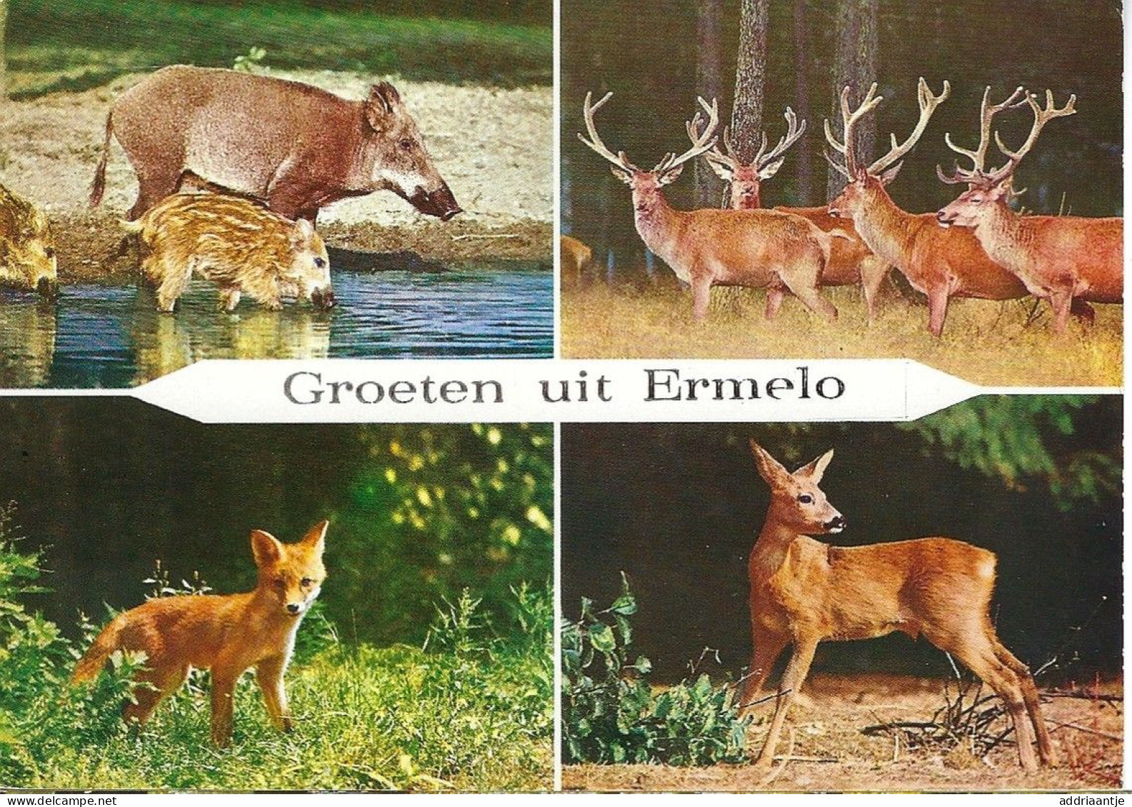 Ermelo Veluwe - Ermelo