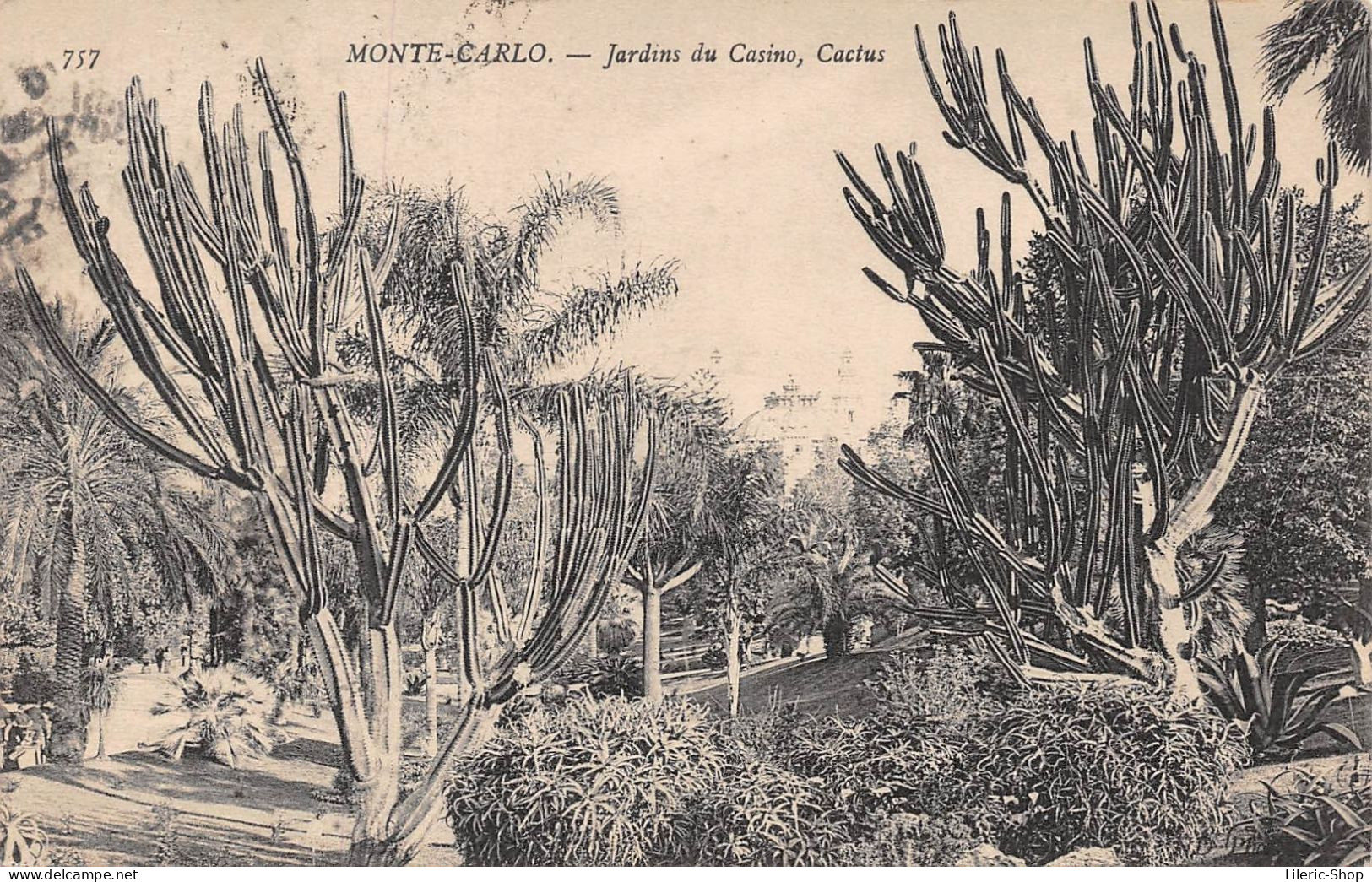 MONTE-CARLO. - Jardins Du Casino, Cactus - Casinò