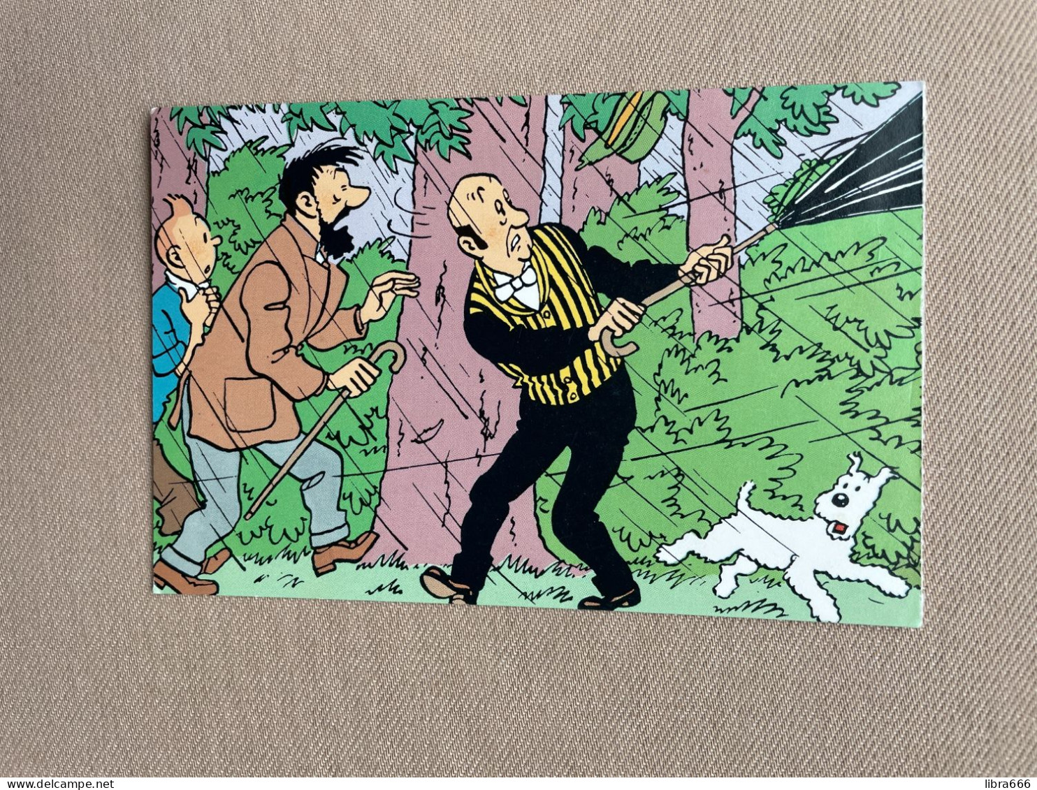 TINTIN - KUIFJE / By Hergé - Editions Du Lombard 1988 - Q8 - Bandes Dessinées