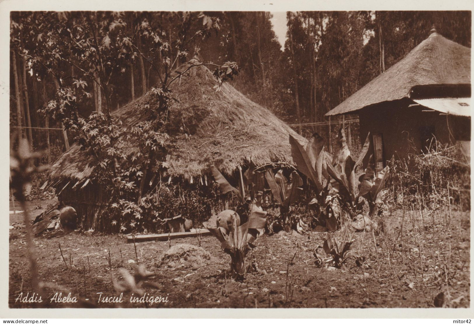 646-Etiopia-Ex Colonia-Addis Abeba-Posta Militare N.130-Tugul Indigeni-Usi E Costumi-v.1937 X Firenze - Ethiopië