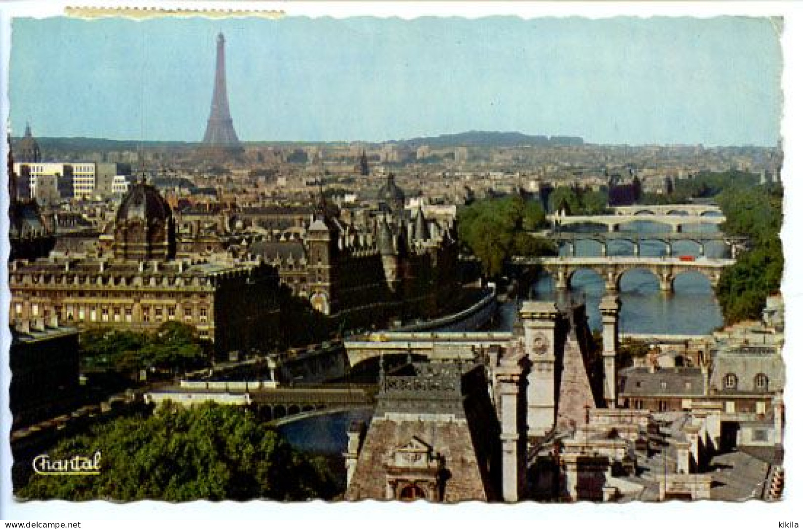 CPSM 9 X 14  PARIS  Panorama    Tour Eiffel  La Seine Les Ponts  Les Toits - Tour Eiffel