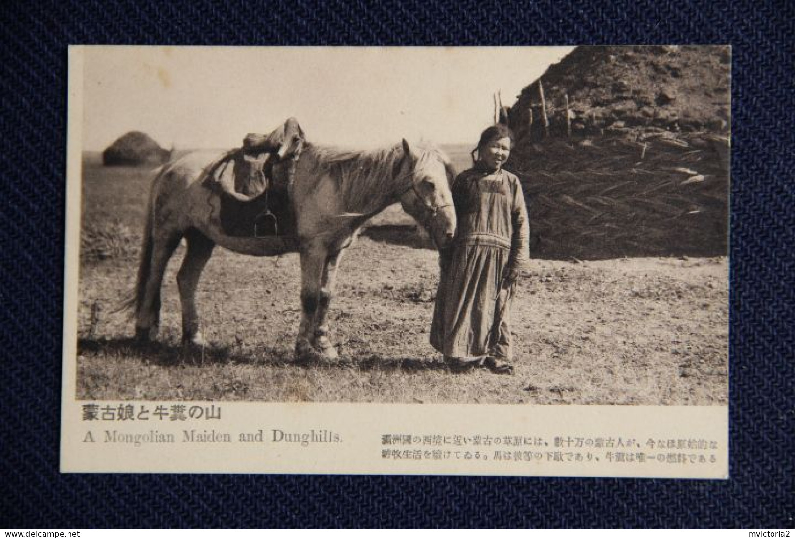 MONGOLIE - A Mongolian Maiden An Dunghills - Mongolia