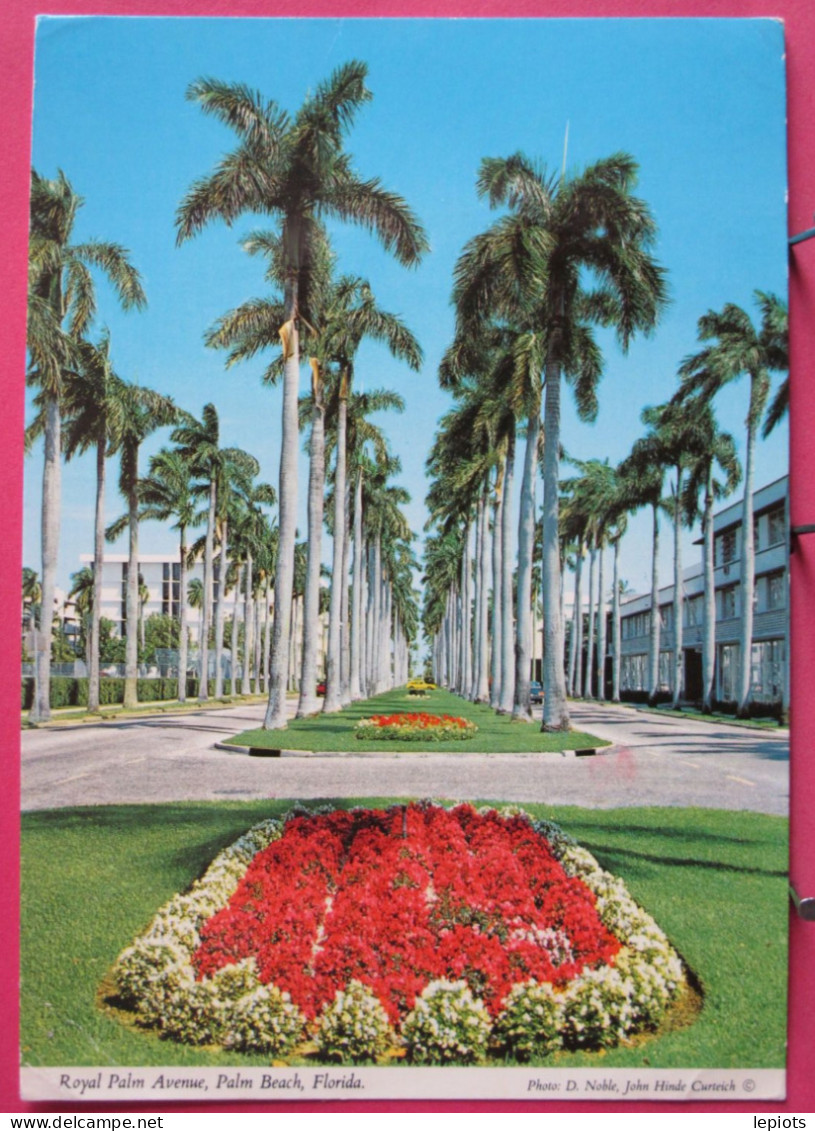USA - Florida - Palm Beach - Royal Palm Avenue - R/verso - Palm Beach