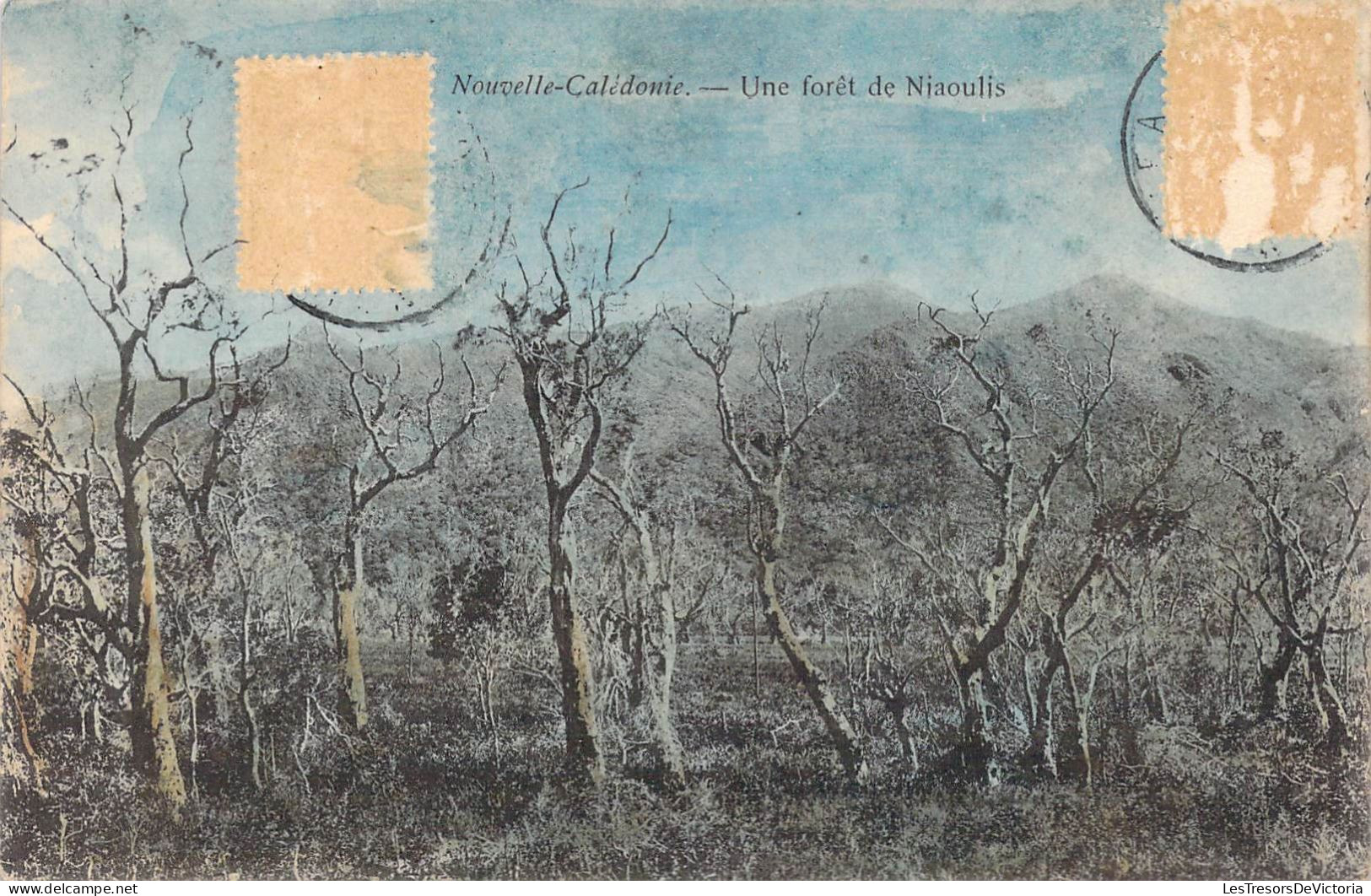 FRANCE - Nouvelle-Calédonie - Une Forêt De Niaoulis - Carte Postale Ancienne - Nouvelle Calédonie