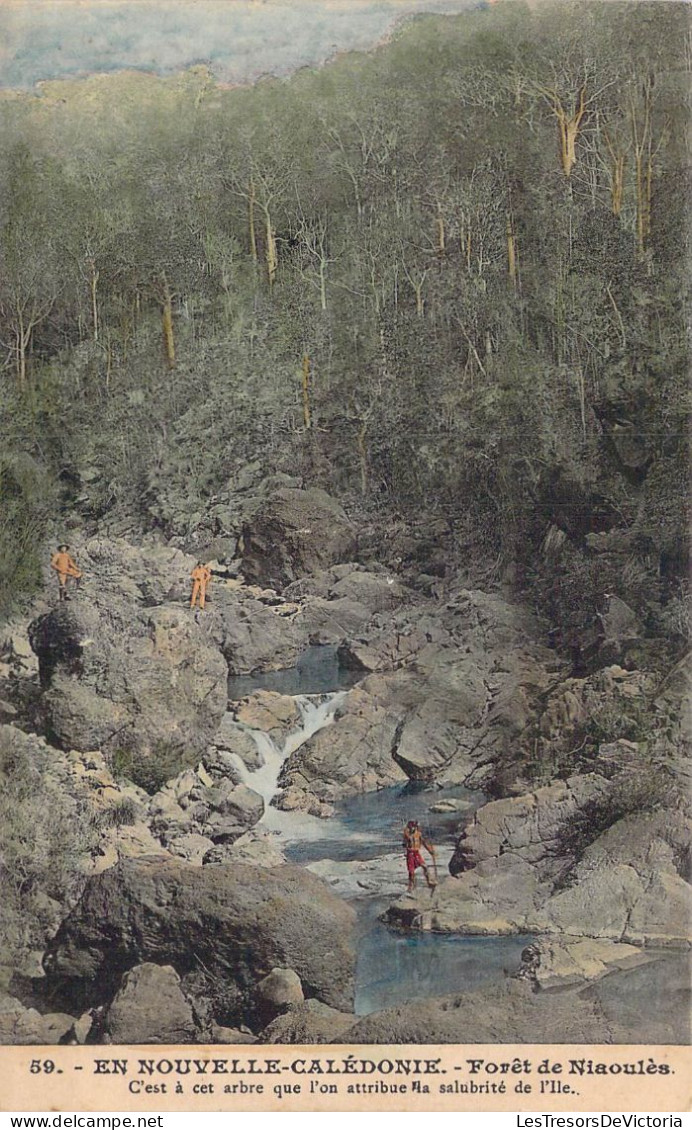 FRANCE - En Nouvelle Calédonie - Forêt De Niaoulès - Carte Postale Ancienne - Nouvelle Calédonie