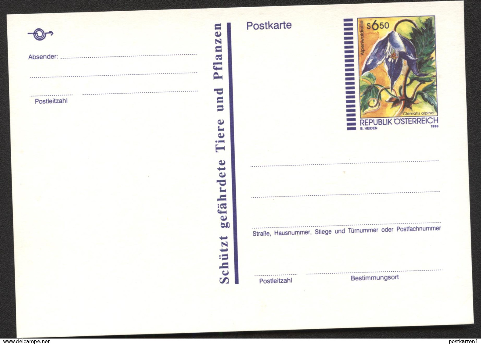 ALPEN-WALDREBE Clematis Alpina Österreich Postkarte P545 Postfrisch Feinst 1998 Kat.4,00€ - Giftige Planten