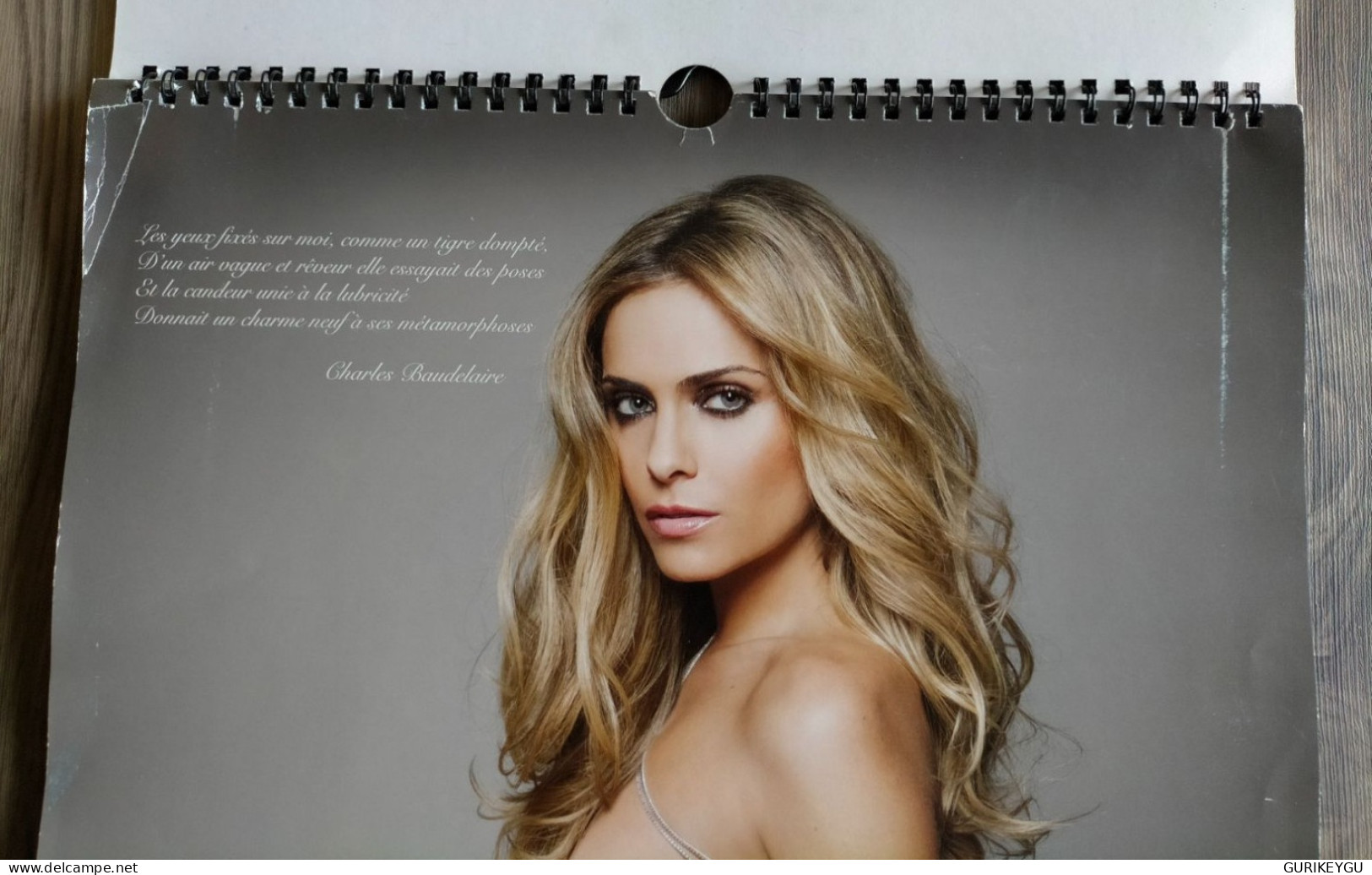 Other & unclassified - CALENDRIER 2014 CLARA MORGANE iconique 25