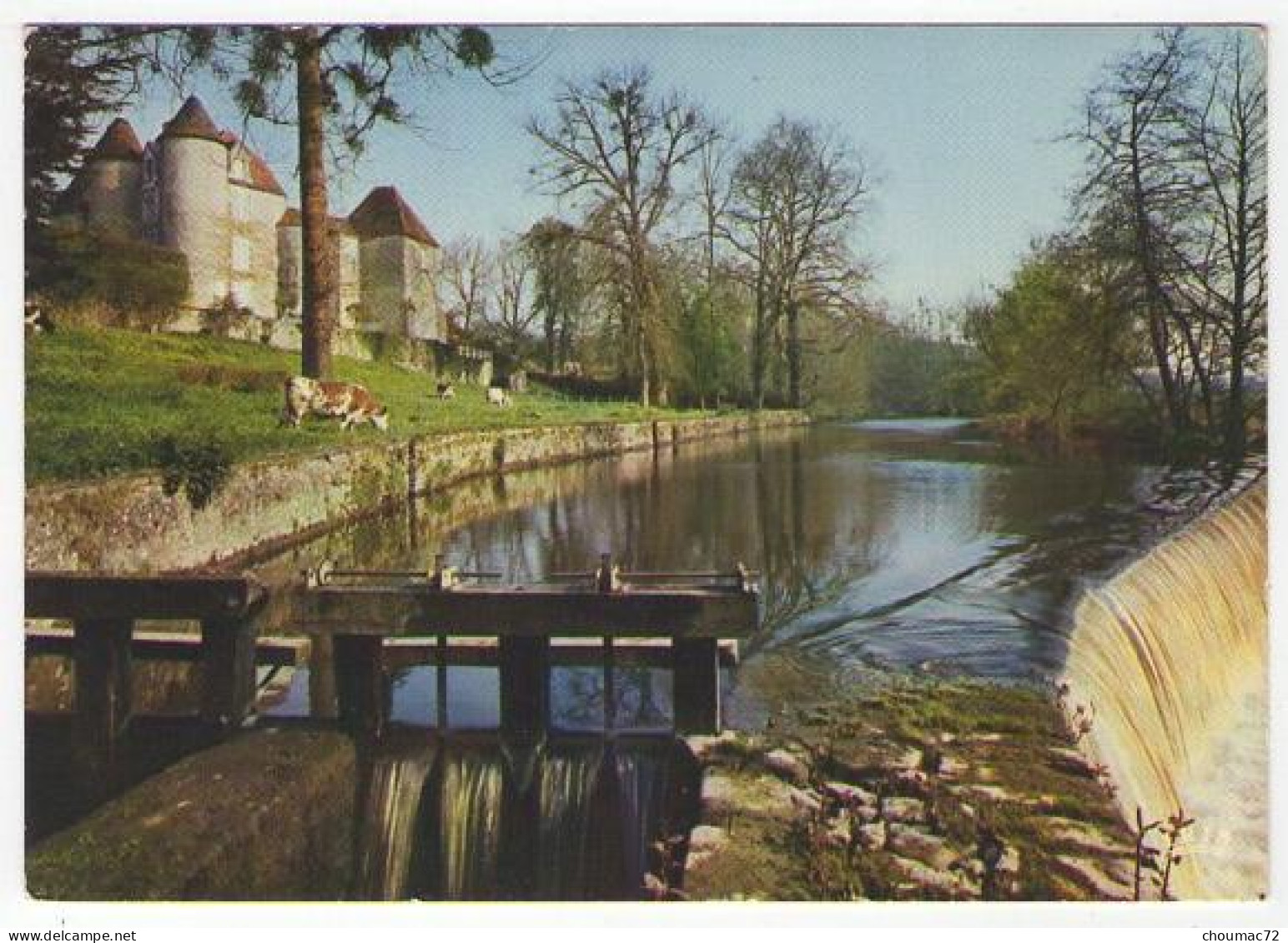 GF (86) 123, La Trimouille, CAP 4, Le Château De La Rivière - La Trimouille