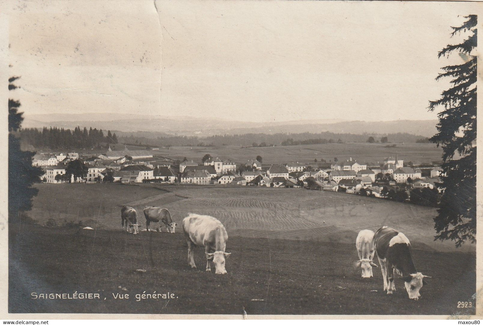 SAIGNELEGIER  -  Vue Générale - Saignelégier