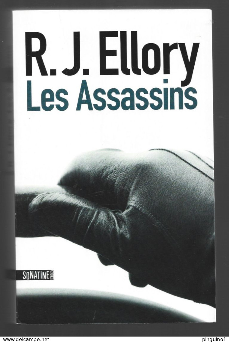 R.J. Ellory Les Assassins - Action