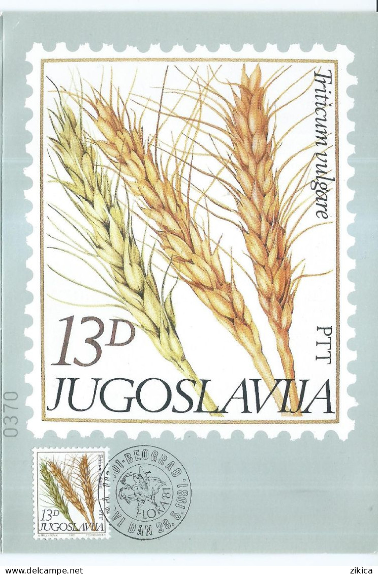 Yugoslavia Post DOUBLE POSTCARD,Happy New Year - Maximum Card - Common Wheat 1981, - Maximumkarten