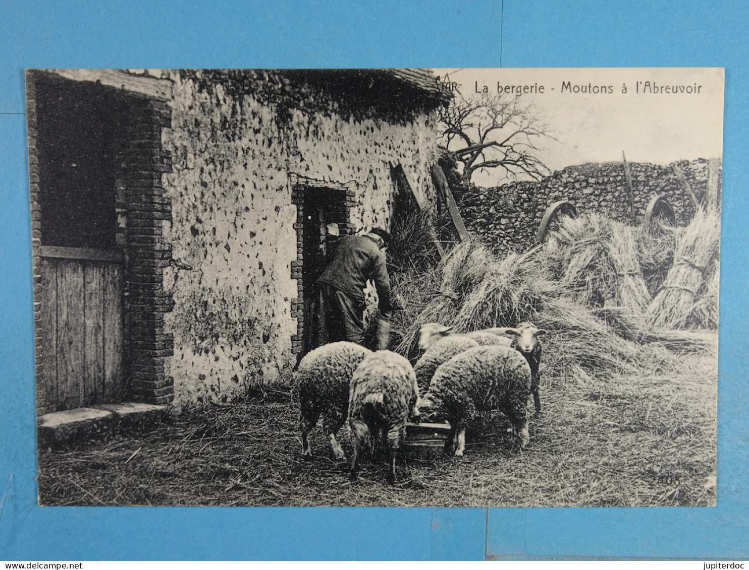 La Bergerie Moutons à L'abreuvoir - Farmers