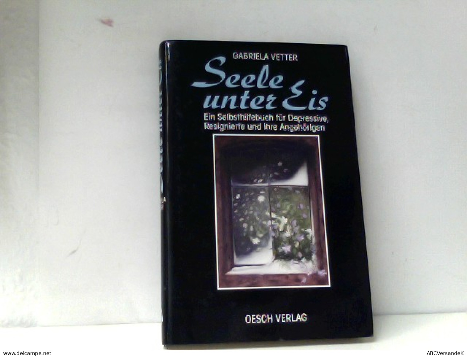 Seele Unter Eis. Ein Selbsthilfebuch Für Depressive, Resignierte Und Ihre Angehörigen - Psychology