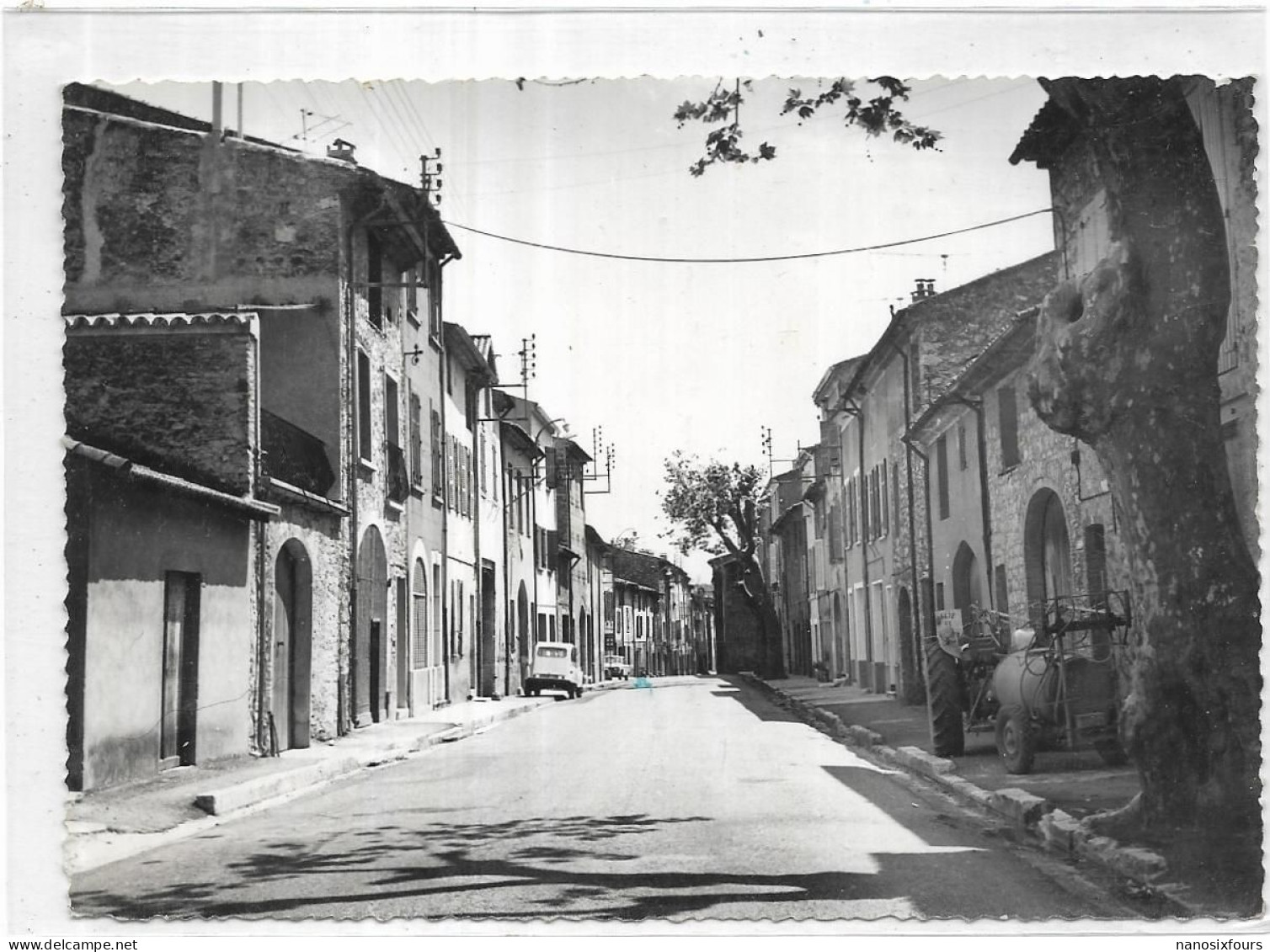 D 83.  LA ROQUEBRUSSANNE. AVENUE DU PORTAIL - La Roquebrussanne