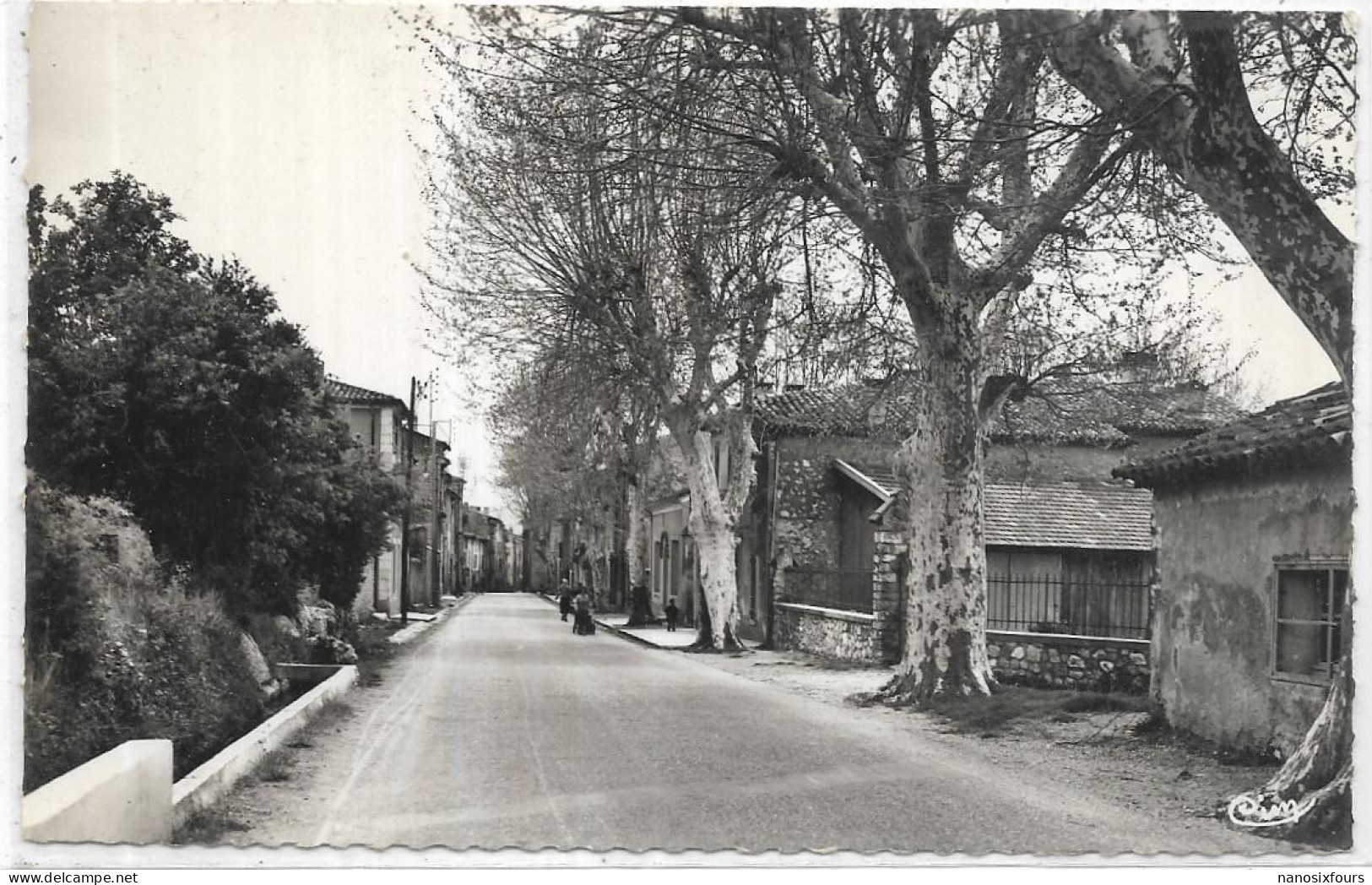 D 83.  LA ROQUEBRUSSANNE. LA RUE DU PORTAIL - La Roquebrussanne