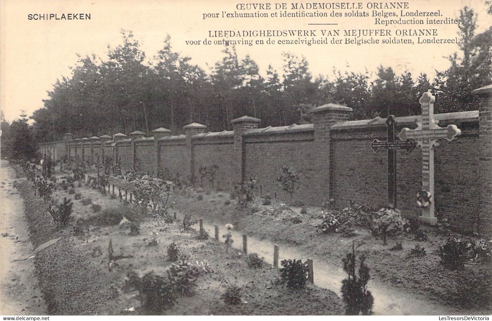 BELGIQUE - SCHIPLAEKEN - Oeuvre De Mademoiselle Orianne - L'Hexhumation Et Identification Des.. - Carte Postale Ancienne - Other & Unclassified