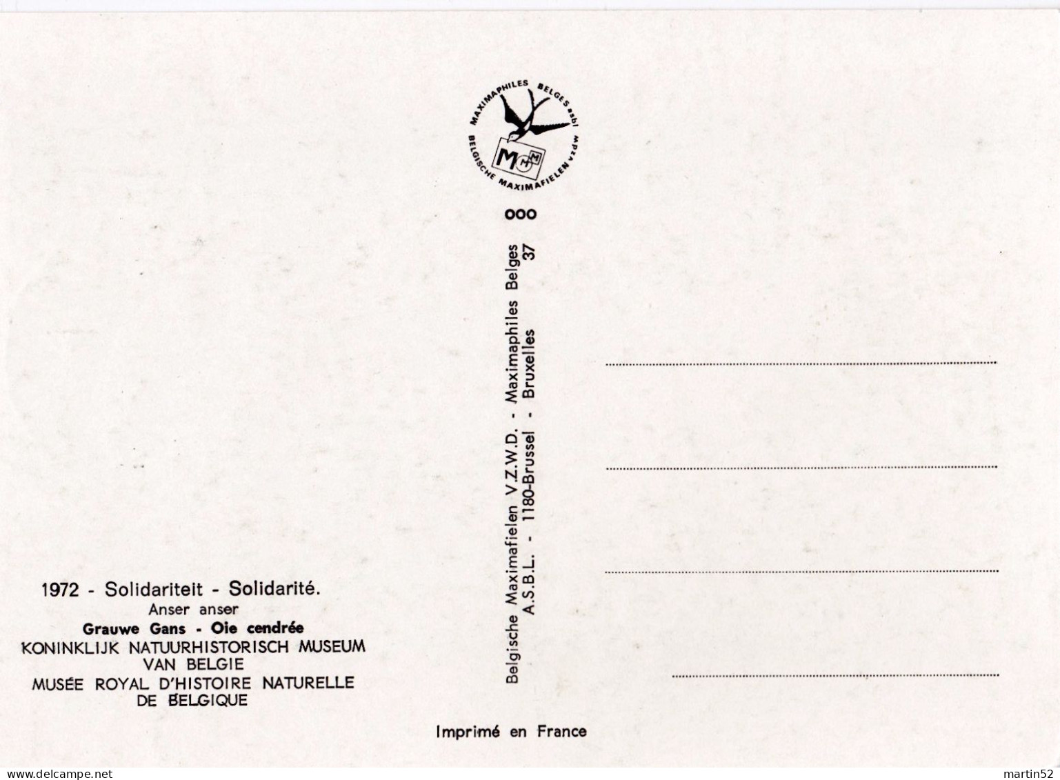Belgique Belgien Belgium 1972: Grauwe Gans - Oie Cendrée - Greylag Goose (Anser Anser) Carte Maximum Michel-N° 1706 - Oche