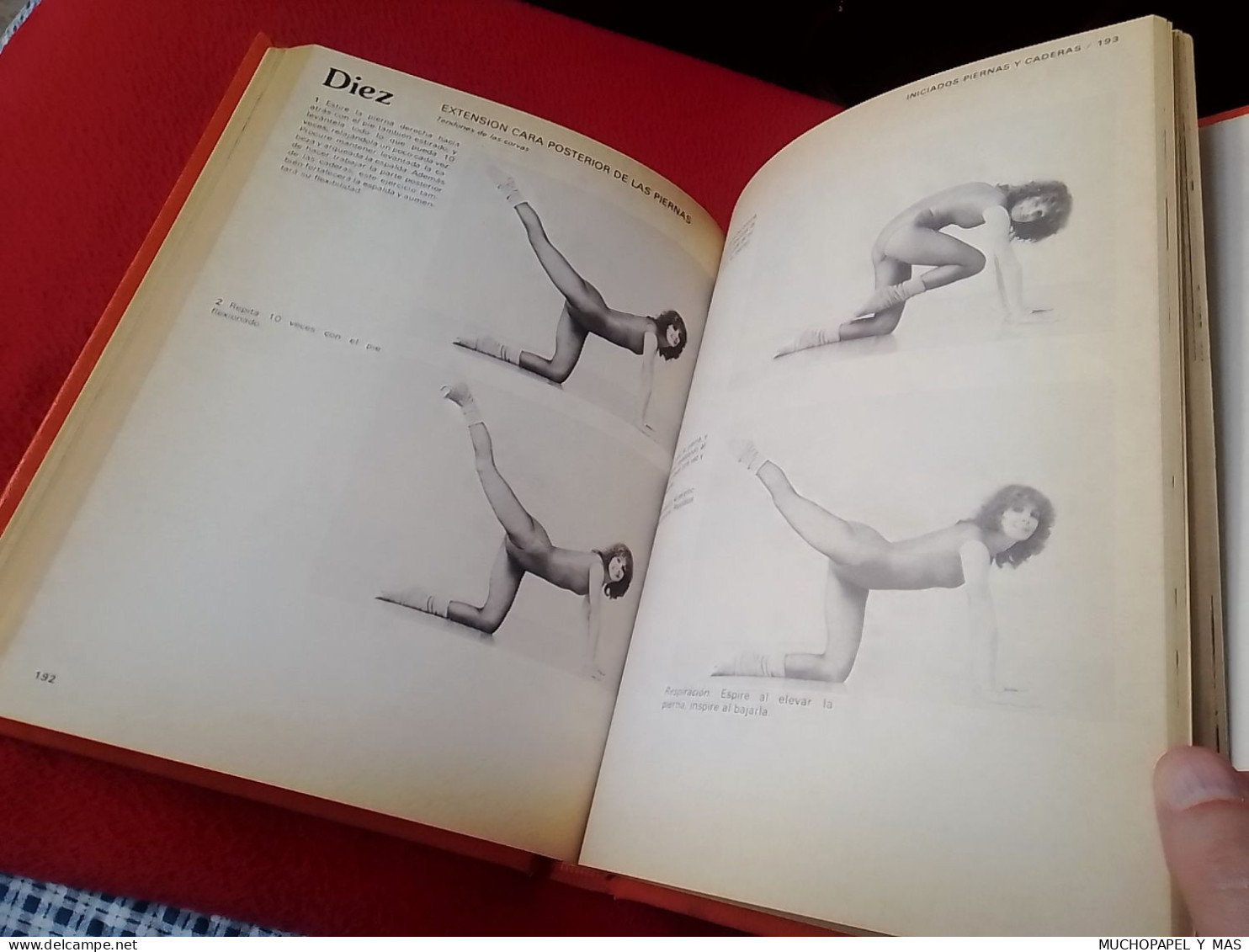 SPAIN LIBRO EN FORMA CON JANE FONDA SERVAGRUP D.L. 1984 EDICIÓN CAJA DE AHORROS BILBAO..250 PÁG..DEPORTE SPORT SALUD VER