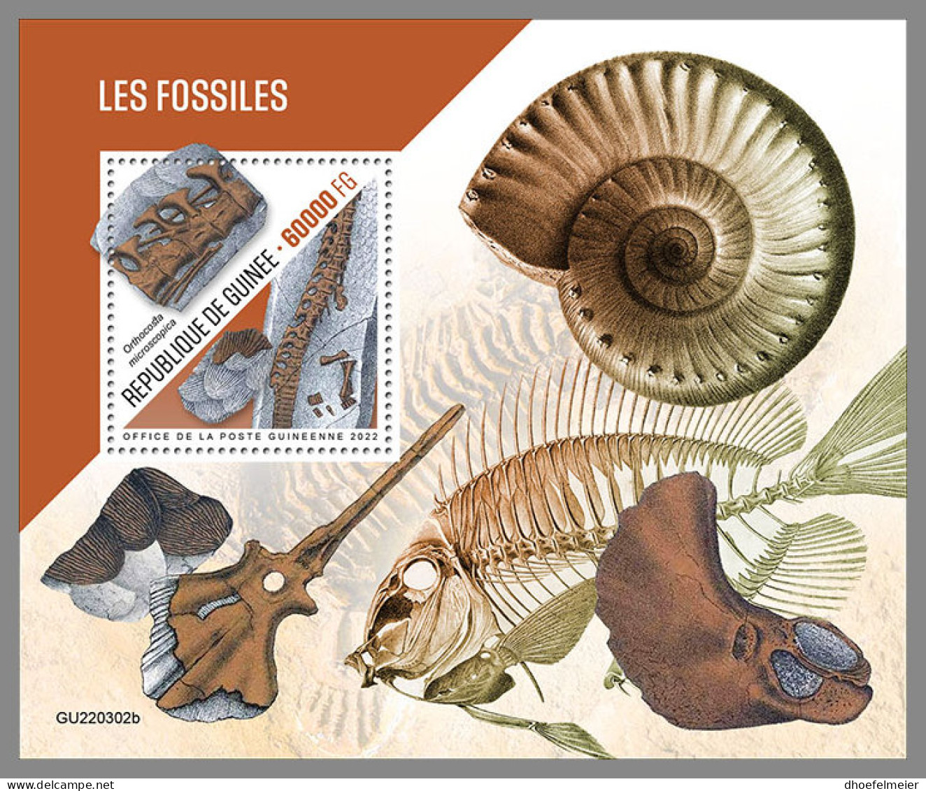 GUINEA REP. 2022 MNH Fossils Fossilien Fossiles S/S - OFFICIAL ISSUE - DHQ2319 - Fossiles